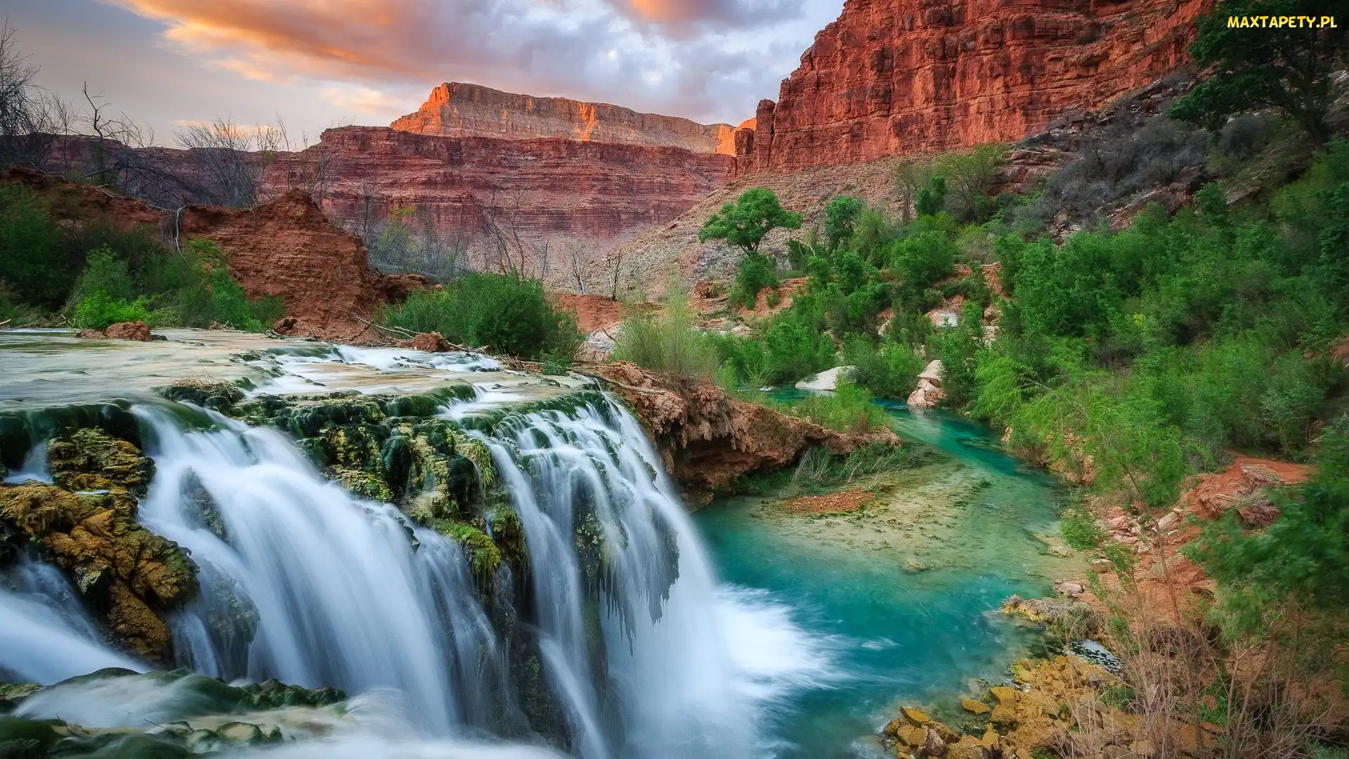 Wodospad, Arizona, Drzewa, Stany Zjednoczone, Skały, Kanion, Havasu Falls, Rzeka Havasu Creek, Park Narodowy Wielkiego Kanionu