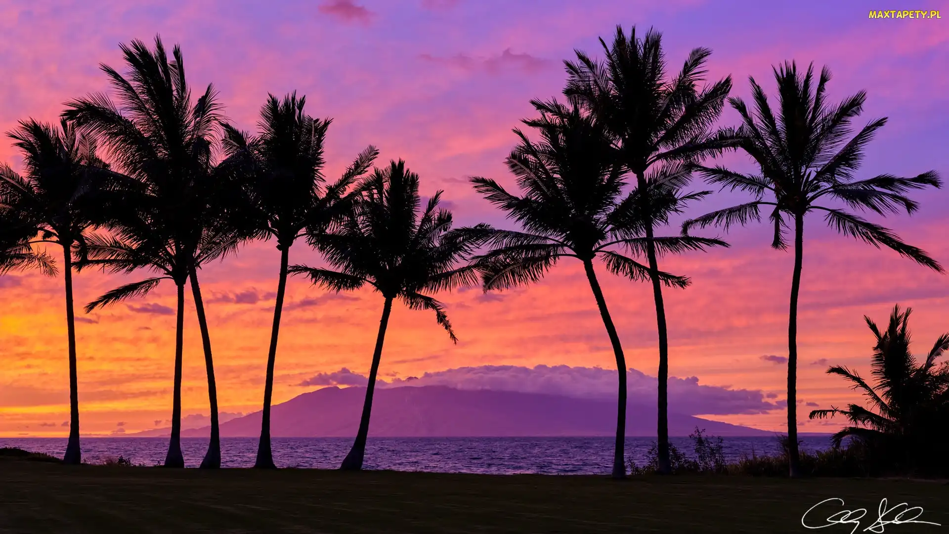 Chmury, Zachód słońca, Wyspa Maui, Hawaje, Morze, Palmy