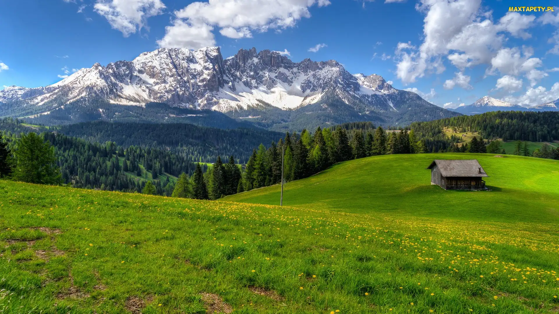 Góra Latemar, Dolomity, Dom, Włochy, Góry, Łąka, Las