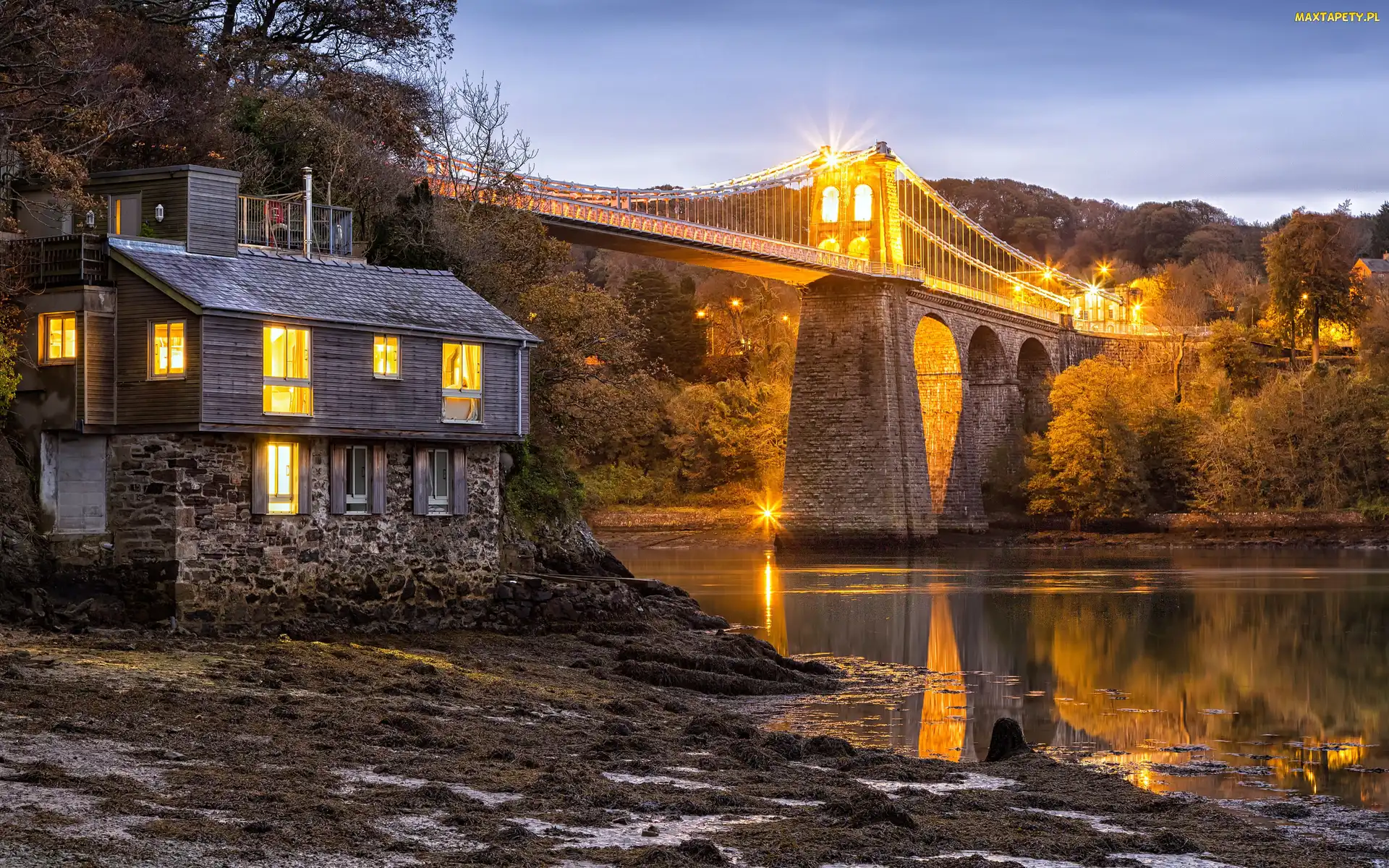 Walia, Rzeka, Anglia, Menai Suspension Bridge, Światło, Most, Drzewa, Dom
