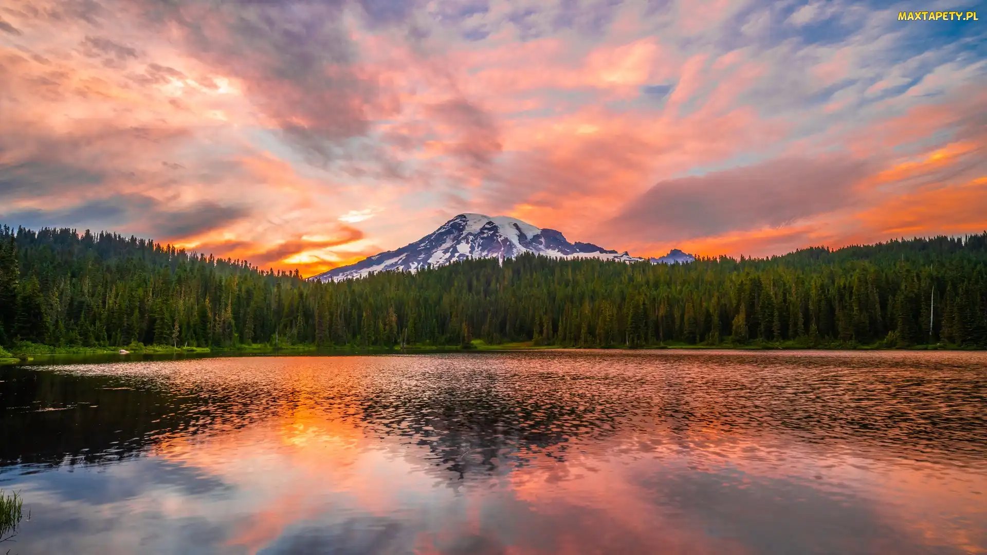 Góra, Stan Waszyngton, Park Narodowy Mount Rainier, Stany Zjednoczone, Drzewa, Chmury, Stratowulkan Mount Rainier, Jezioro, Reflection Lake