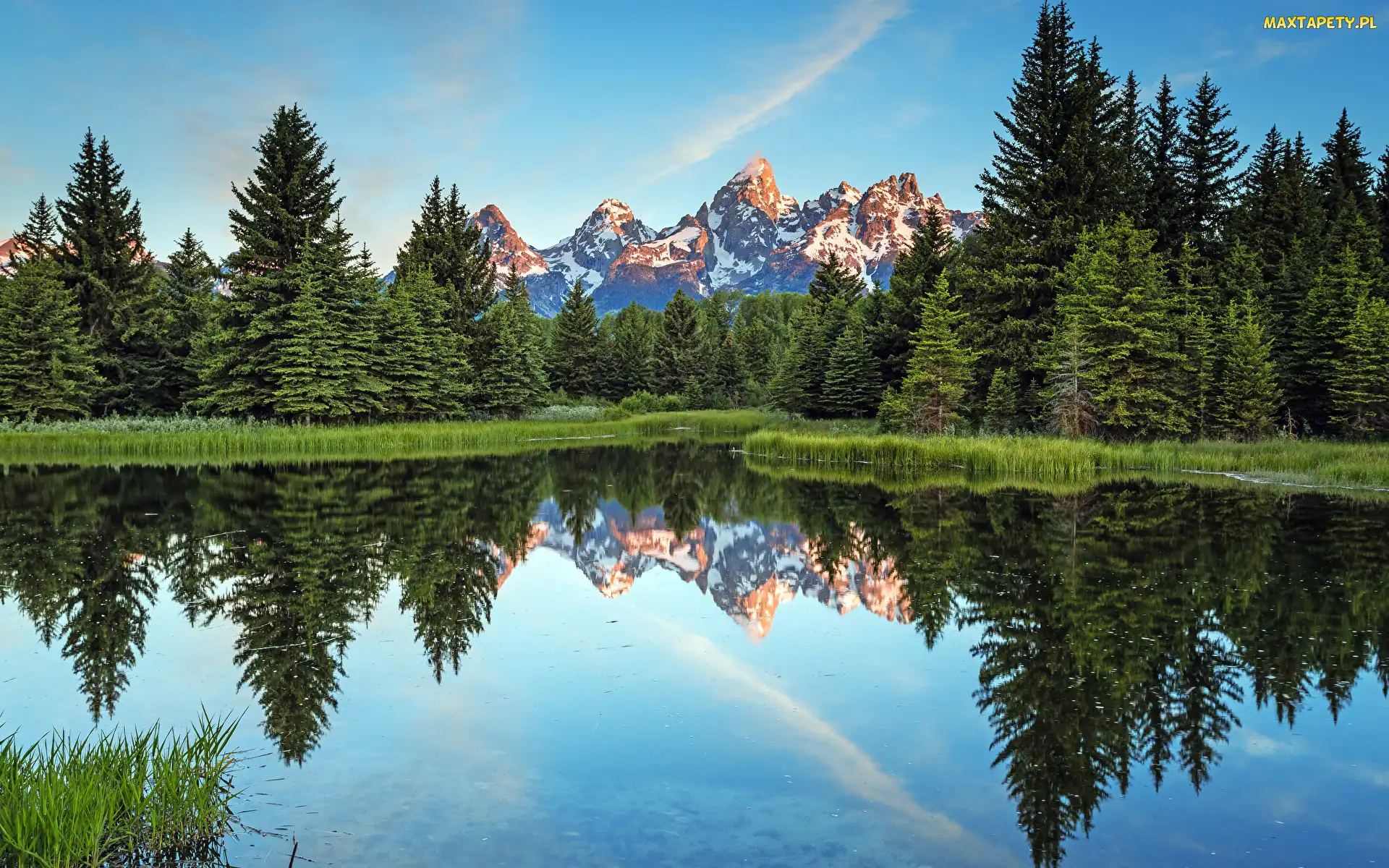 Góry Skaliste, Snake River, Park Narodowy Grand Teton, Rzeka, Stan Wyoming, Drzewa, Stany Zjednoczone, Odbicie