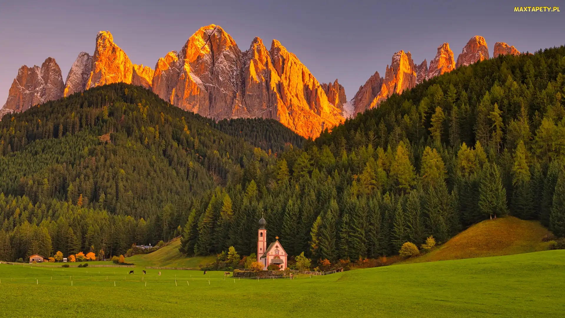 Santa Maddalena, Dolina Val di Funes, Włochy, Kościół św Jana, Las, Łąka, Południowy Tyrol, Drzewa, Wieś, Góry, Dolomity