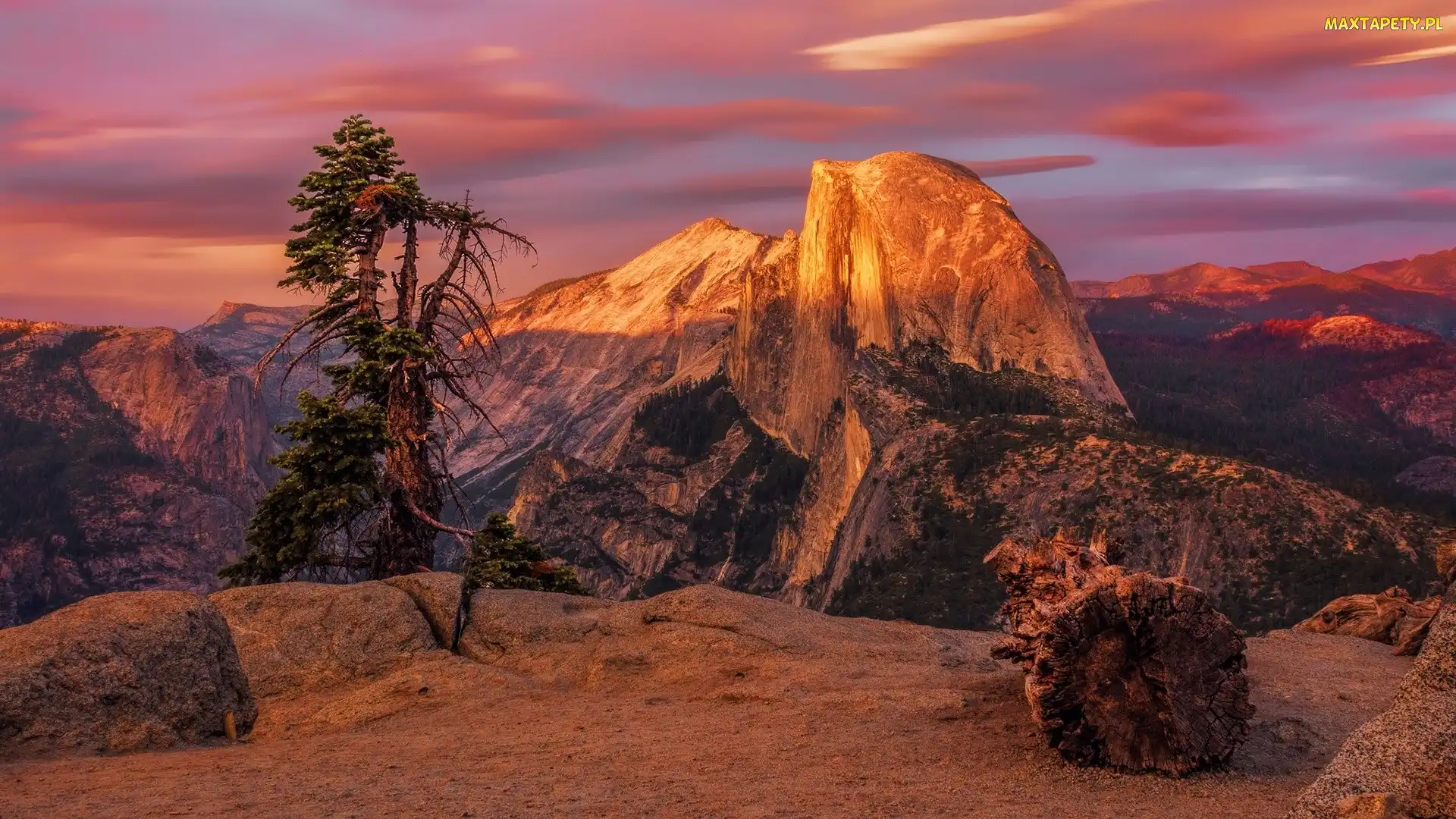 Stany Zjednoczone, Rozświetlona, Drzewa, Góra, Góry, Skały, Park Narodowy Yosemite, Zachód słońca, Kalifornia, Half Dome