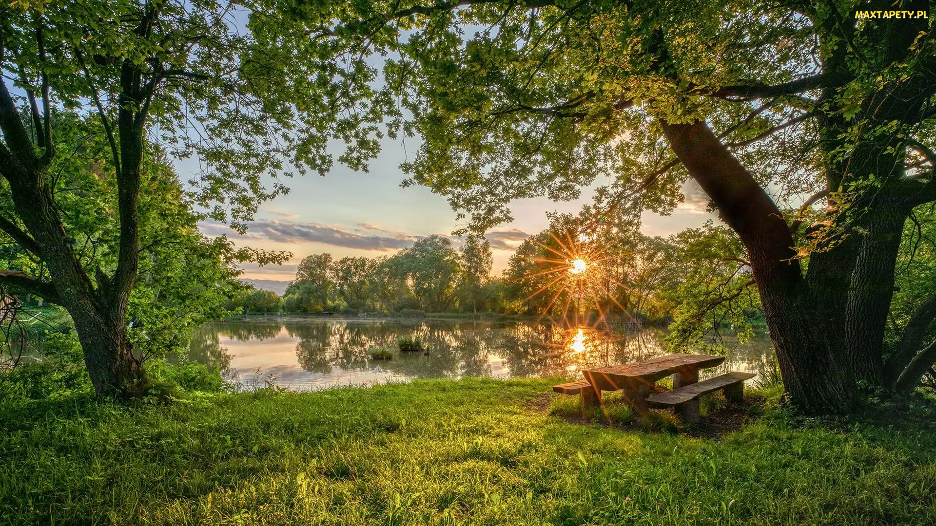 Staw, Park, Lato, Promienie słońca, Ławka, Drzewa