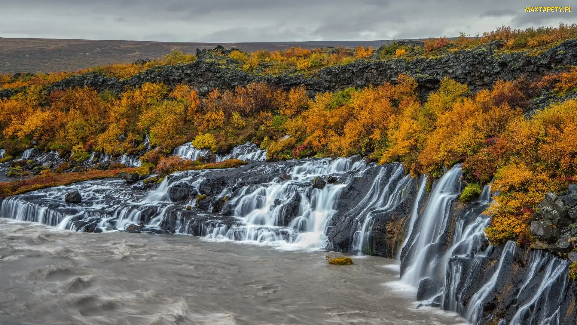 Jesień, Żółte, Islandia, Skały, Wodospad Hraunfossar, Krzewy
