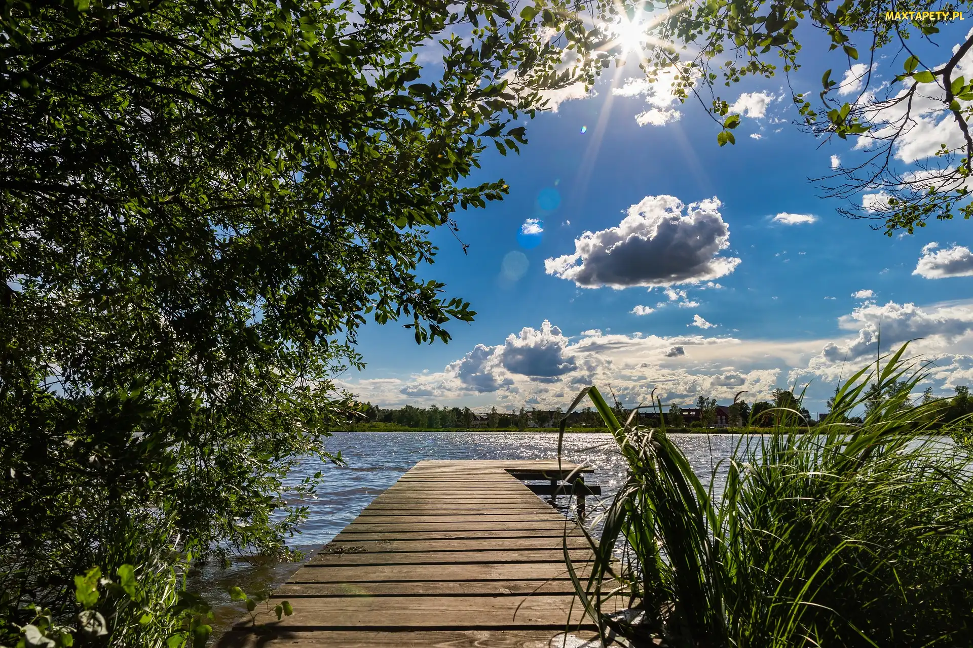 Promienie słońca, Chmury, Pomost, Jezioro, Drzewo, Szuwary
