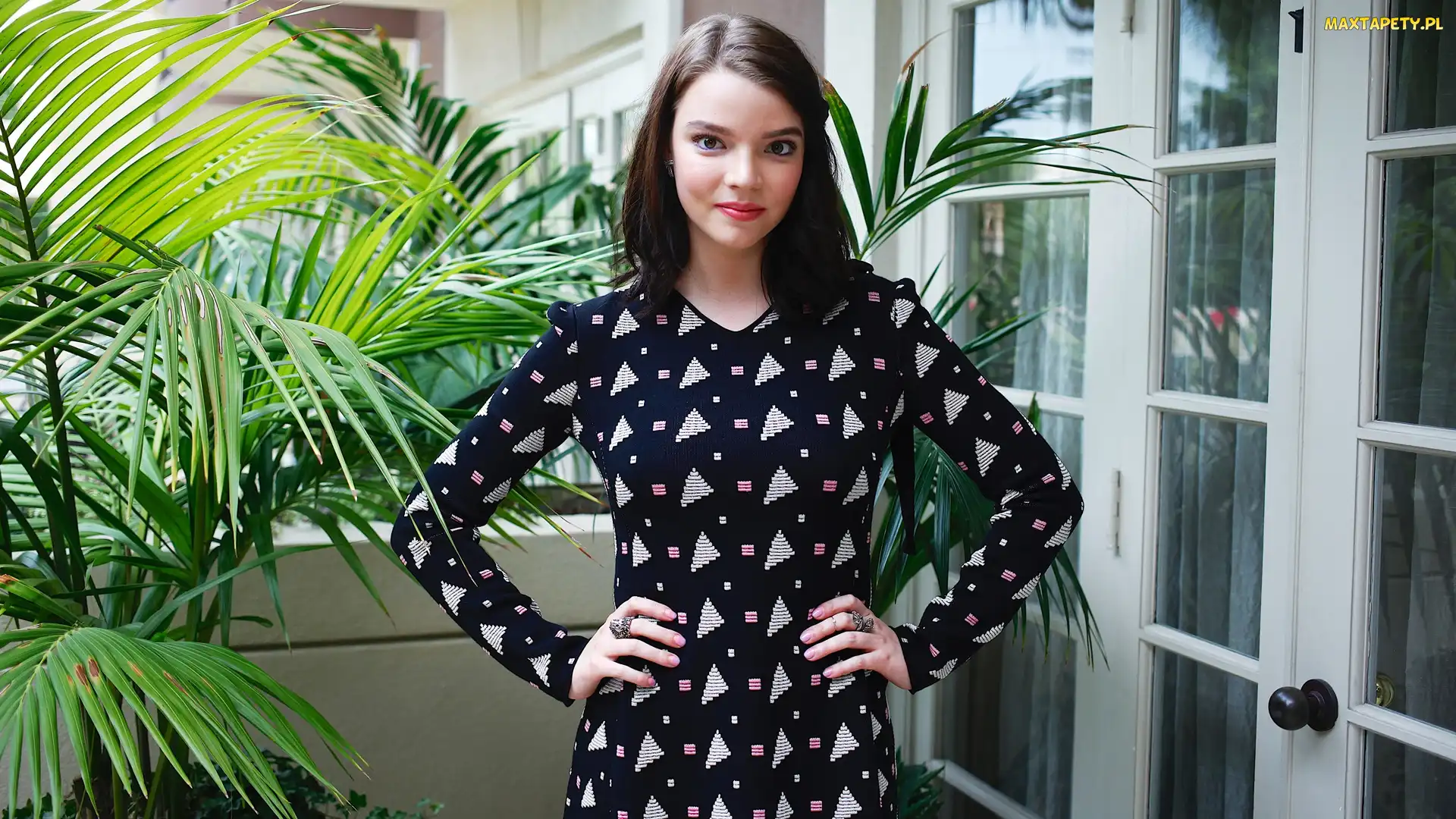 Aktorka, Palma, Drzwi, Anya Taylor Joy, Kobieta