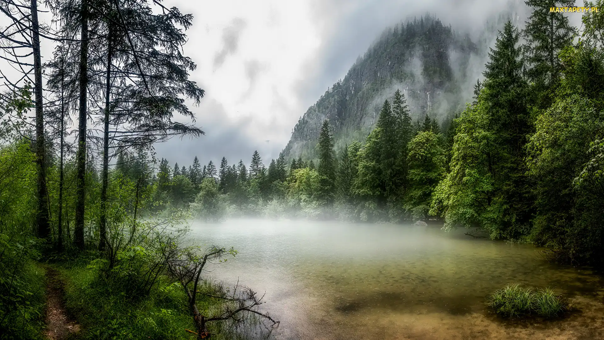 Obertraun, Mgła, Jezioro Koppenwinkellacke, Austria, Drzewa, Góry, Ścieżka