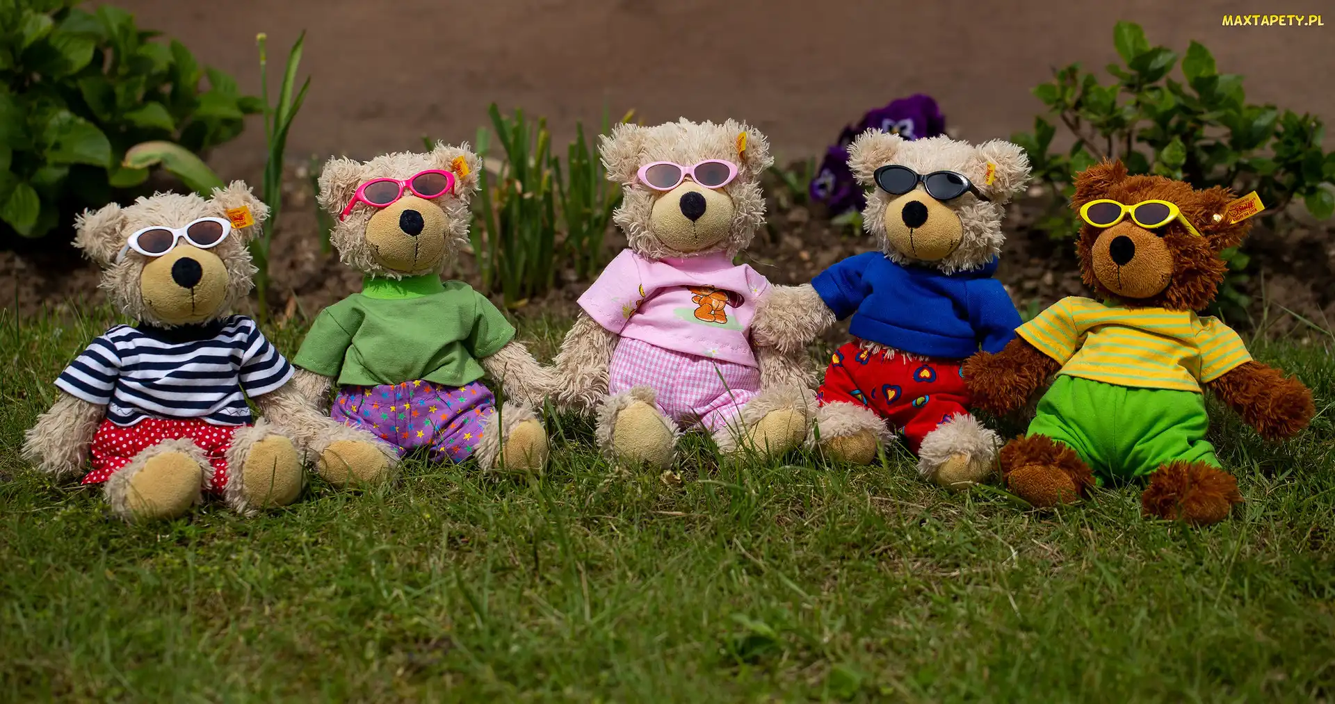 Zabawki, Misie, Trawa, Ubranka, Okulary, Pluszaki