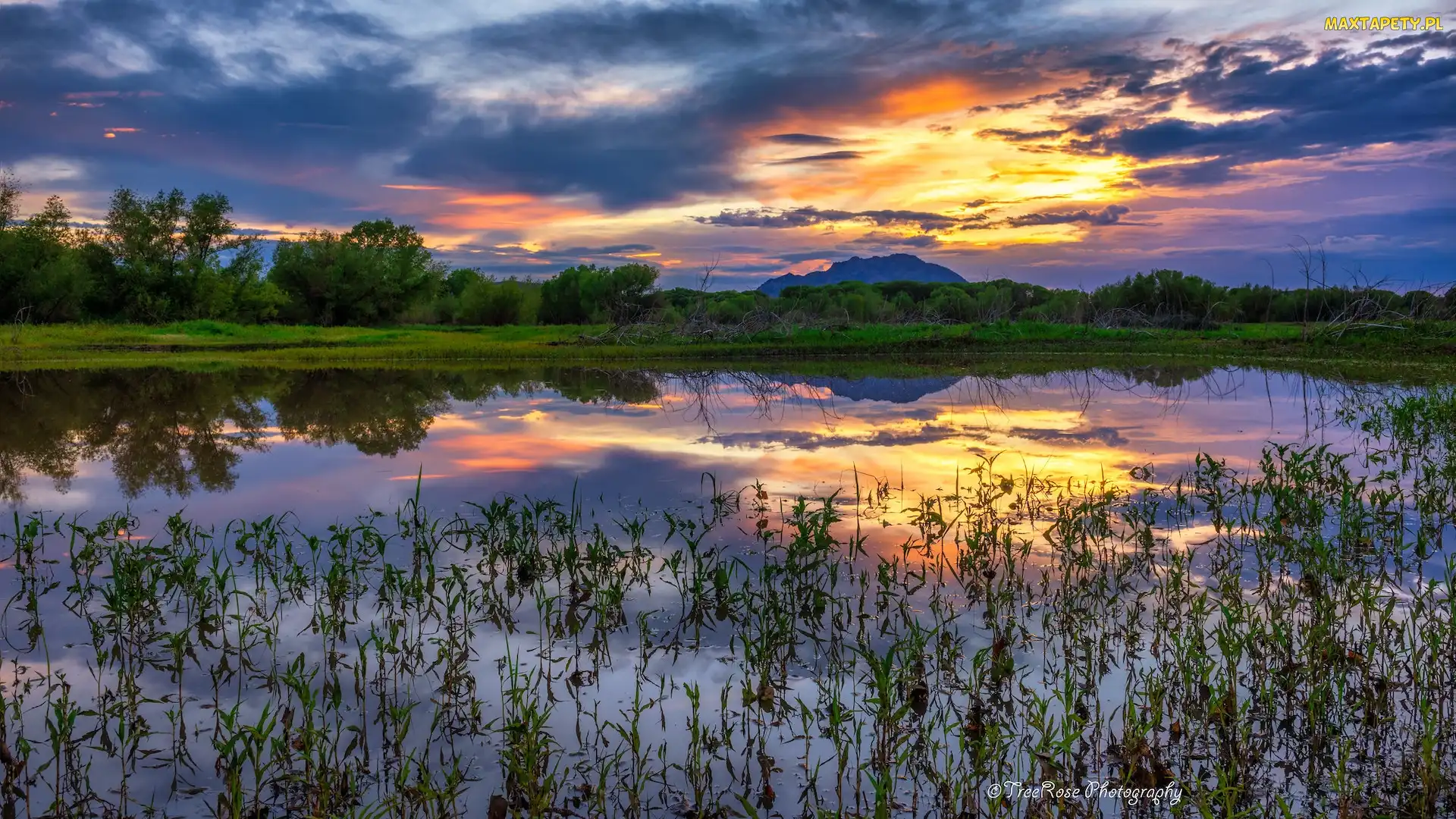 Stany Zjednoczone, Zachód słońca, Willow Lake, Odbicie, Trawy, Jezioro, Arizona, Hrabstwo Yavapai, Prescott