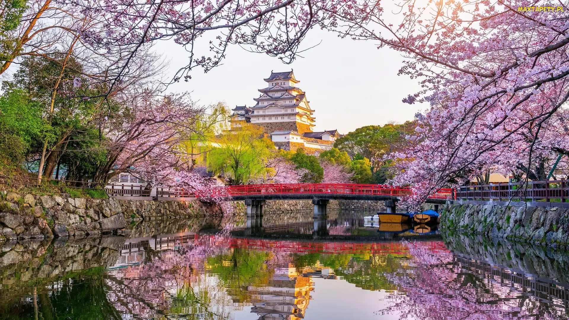 Japonia, Most, Kanał, Himeji, Zamek Białej Czapli, Zamek Himeji, Okwiecone, Gałęzie, Wiosna, Drzewa