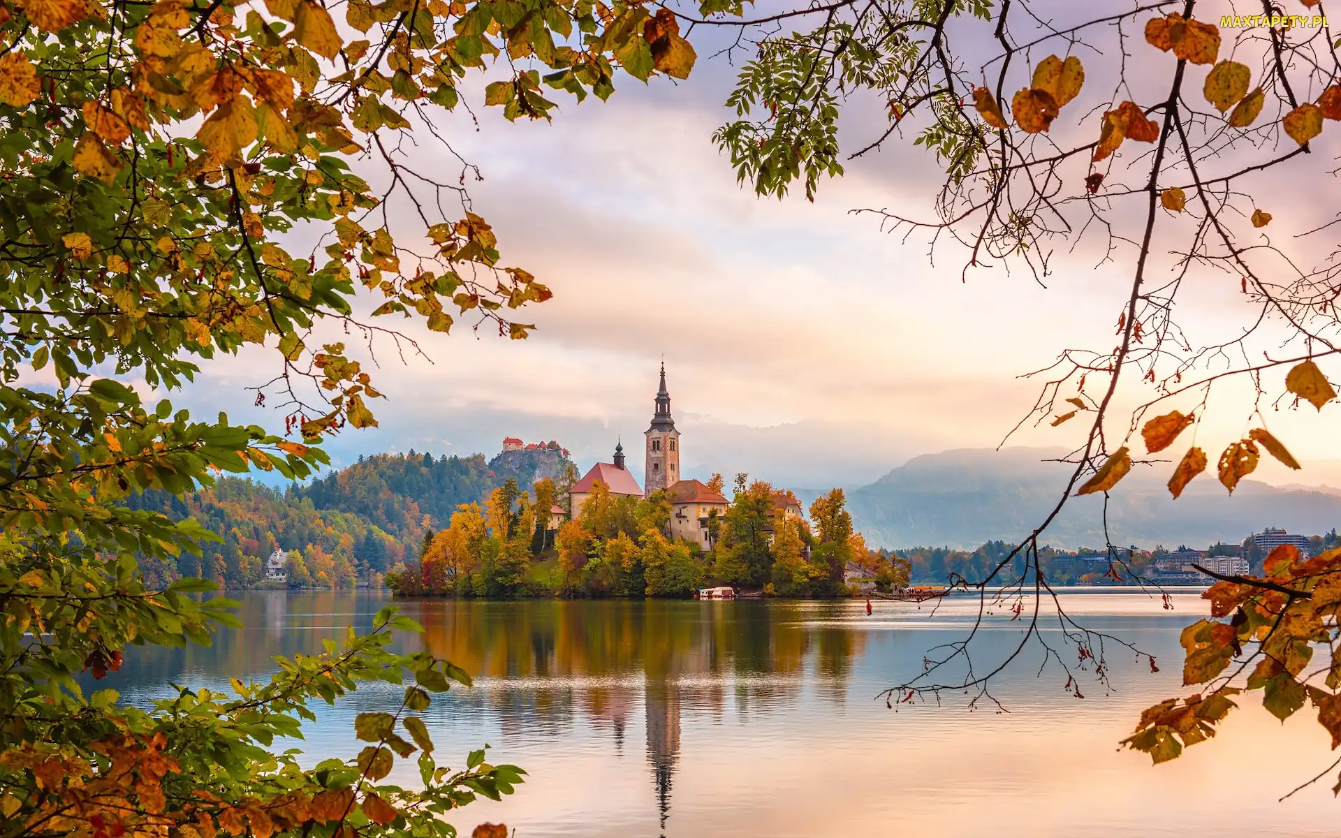 Jezioro Bled, Góry, Wyspa Blejski Otok, Słowenia, Jesień, Drzewa, Mgła, Gałęzie, Kościół