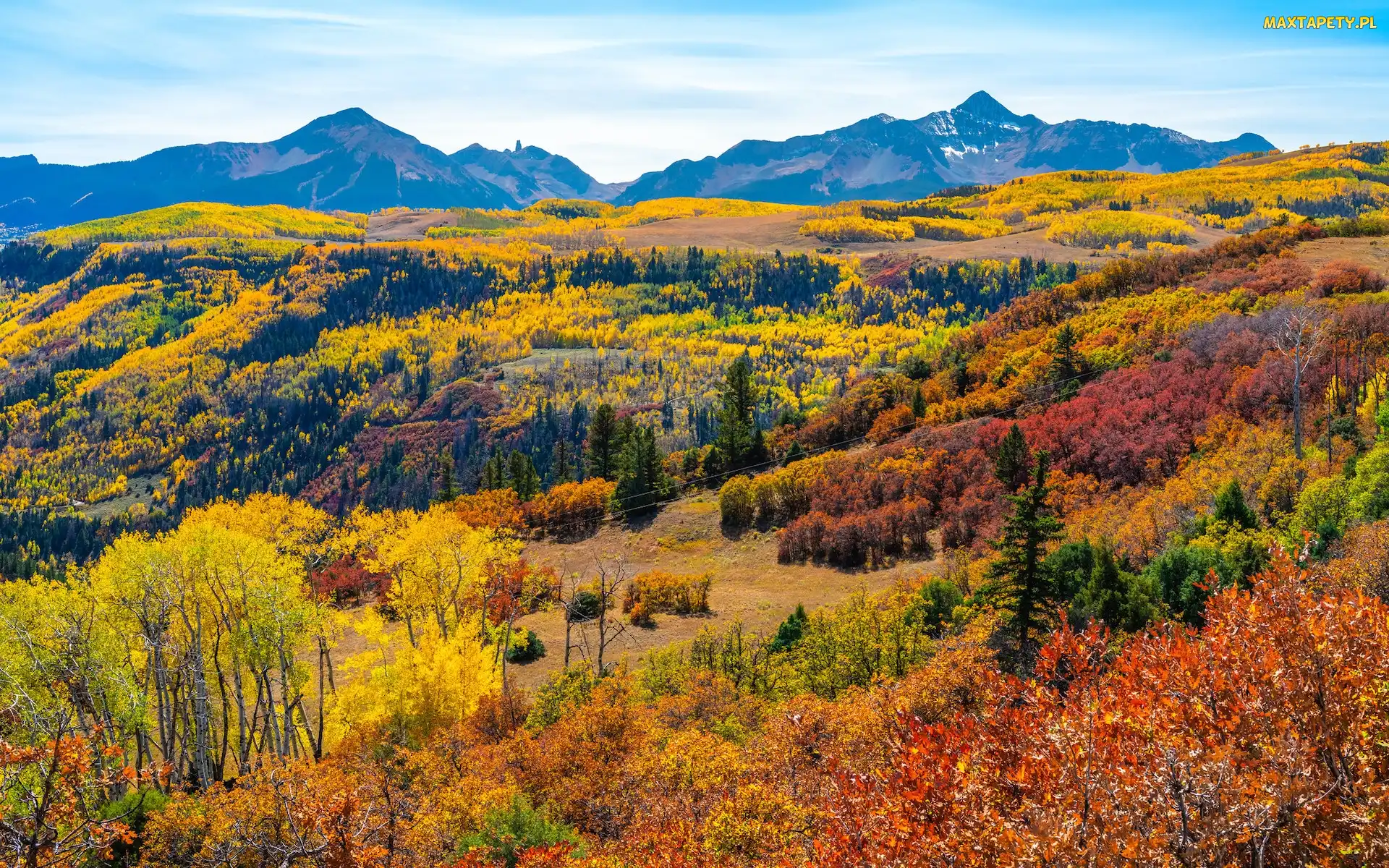 Wilson Peak, Góra, Drzewa, Kolorado, Telluride, Stany Zjednoczone, San Juan Mountains, Góry, Las, Jesień, Góry