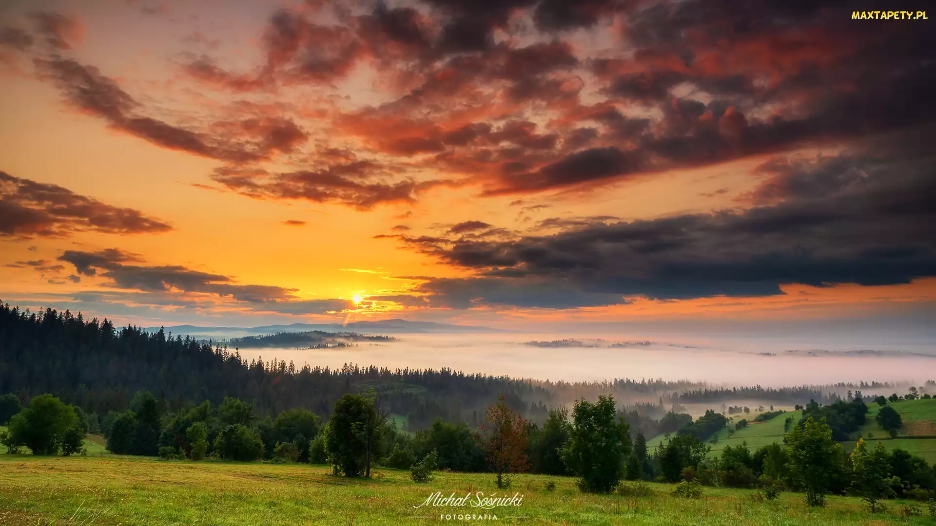 Wschód słońca, Chmury, Lasy, Góry, Drzewa, Pole