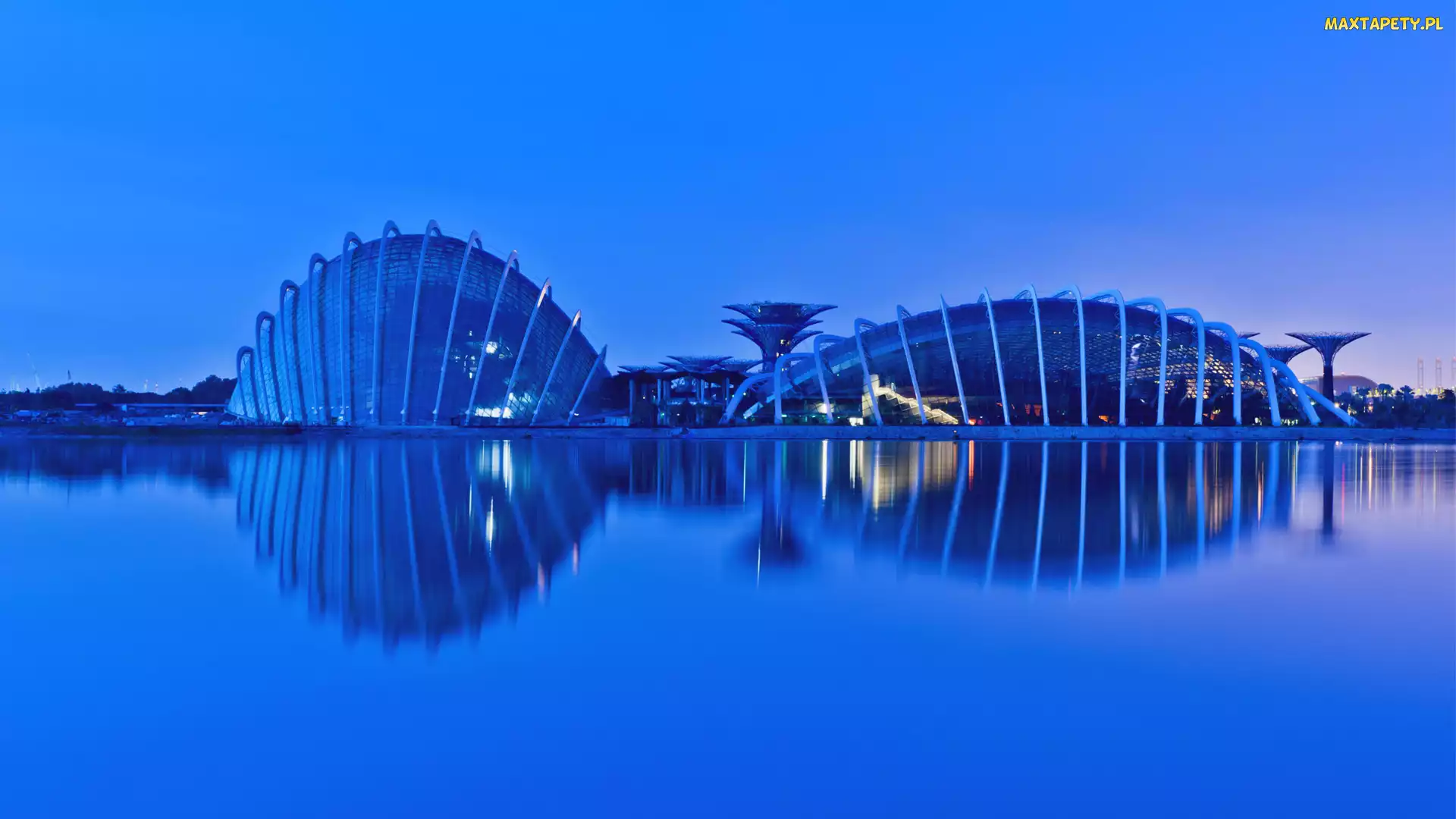 Szklarnie, Singapur, Zatoka, Flower Dome, Gardens by the Bay