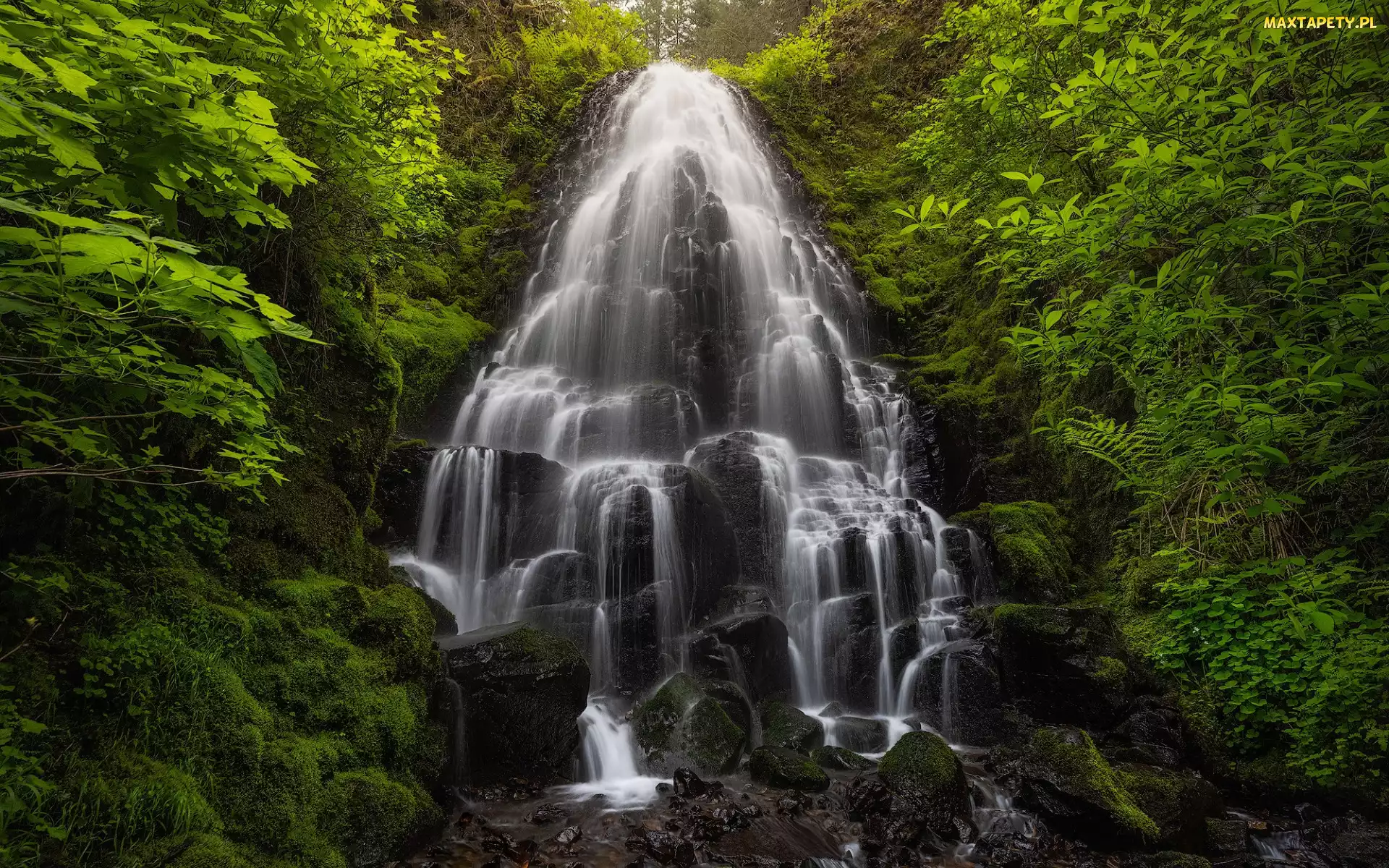 Oregon, Fairy Falls, Drzewa, Stany Zjednoczone, Wodospad, Las, Skała