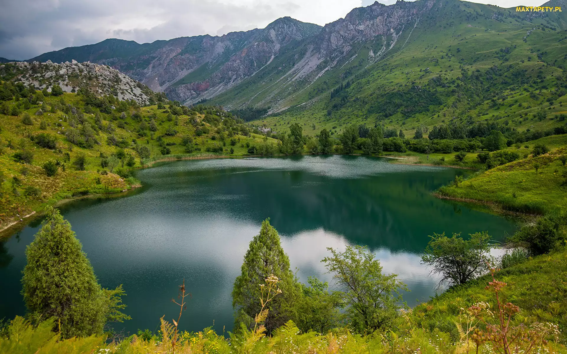Prowincja Jalal Abad, Roślinność, Lasy, Kirgistan, Jezioro Sary Chelek, Góry, Drzewa