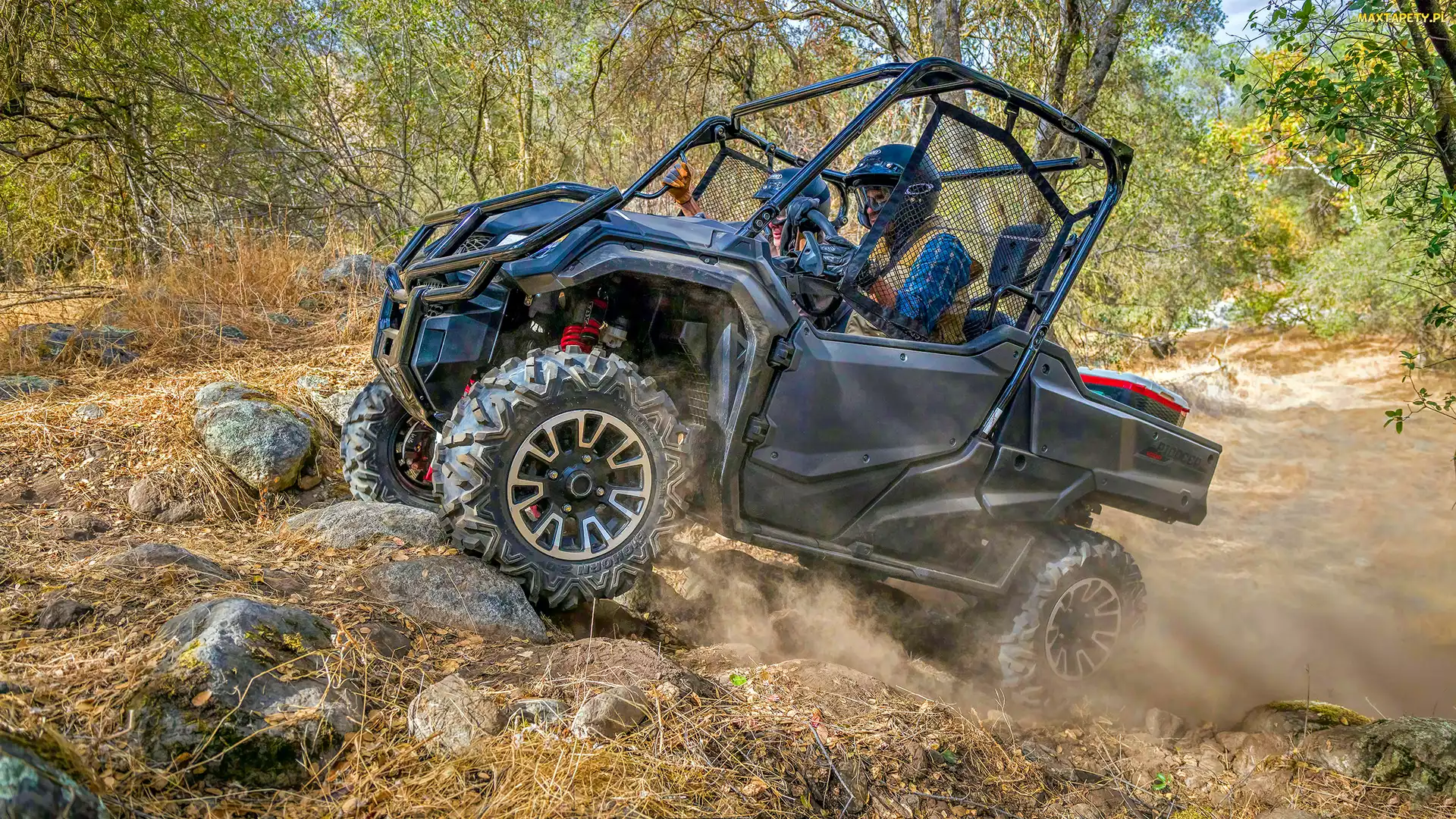 Pojazd terenowy, Honda Pioneer 1000 LE