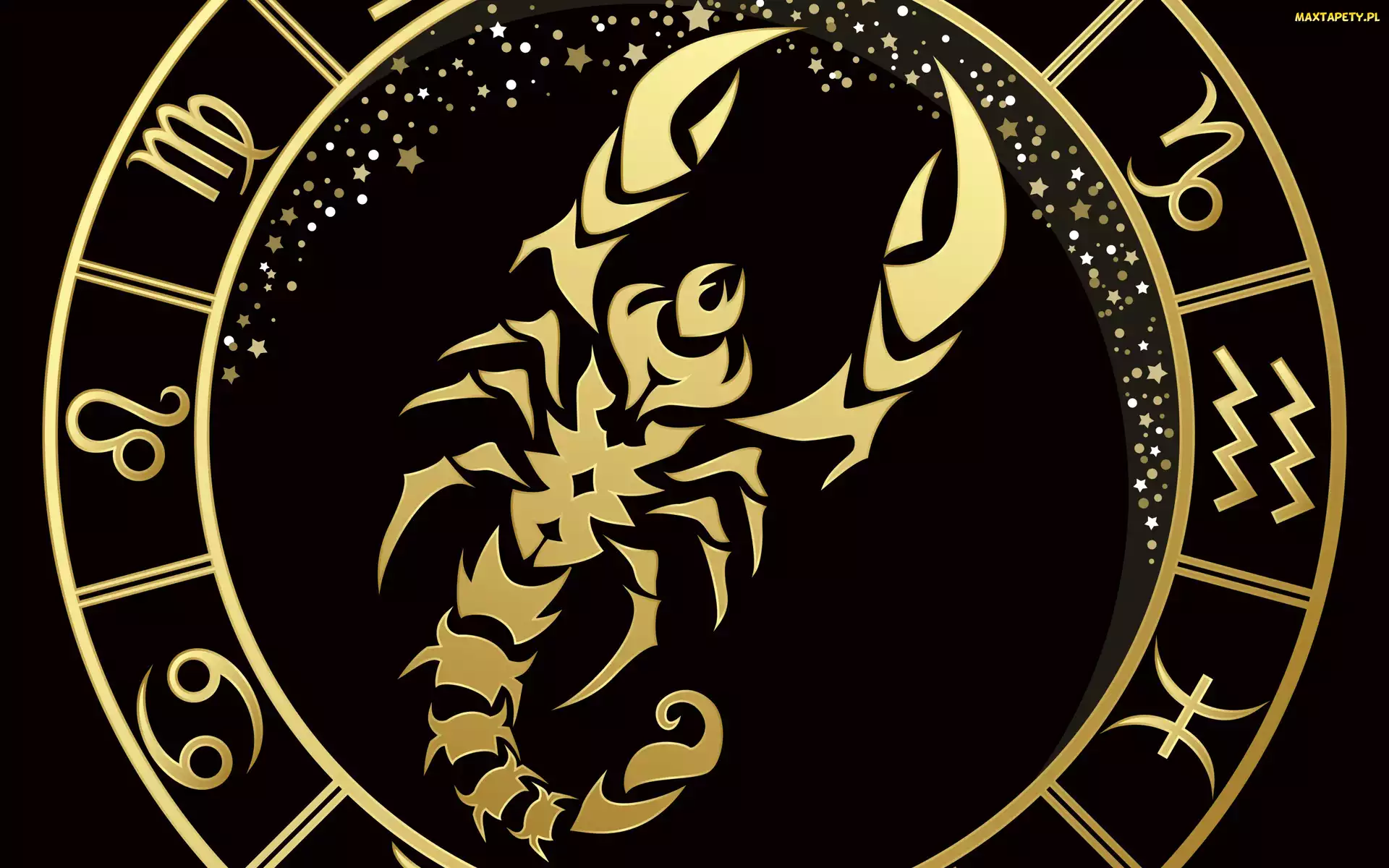 Znak zodiaku, Tło, Czarne, Skorpion, Złoty