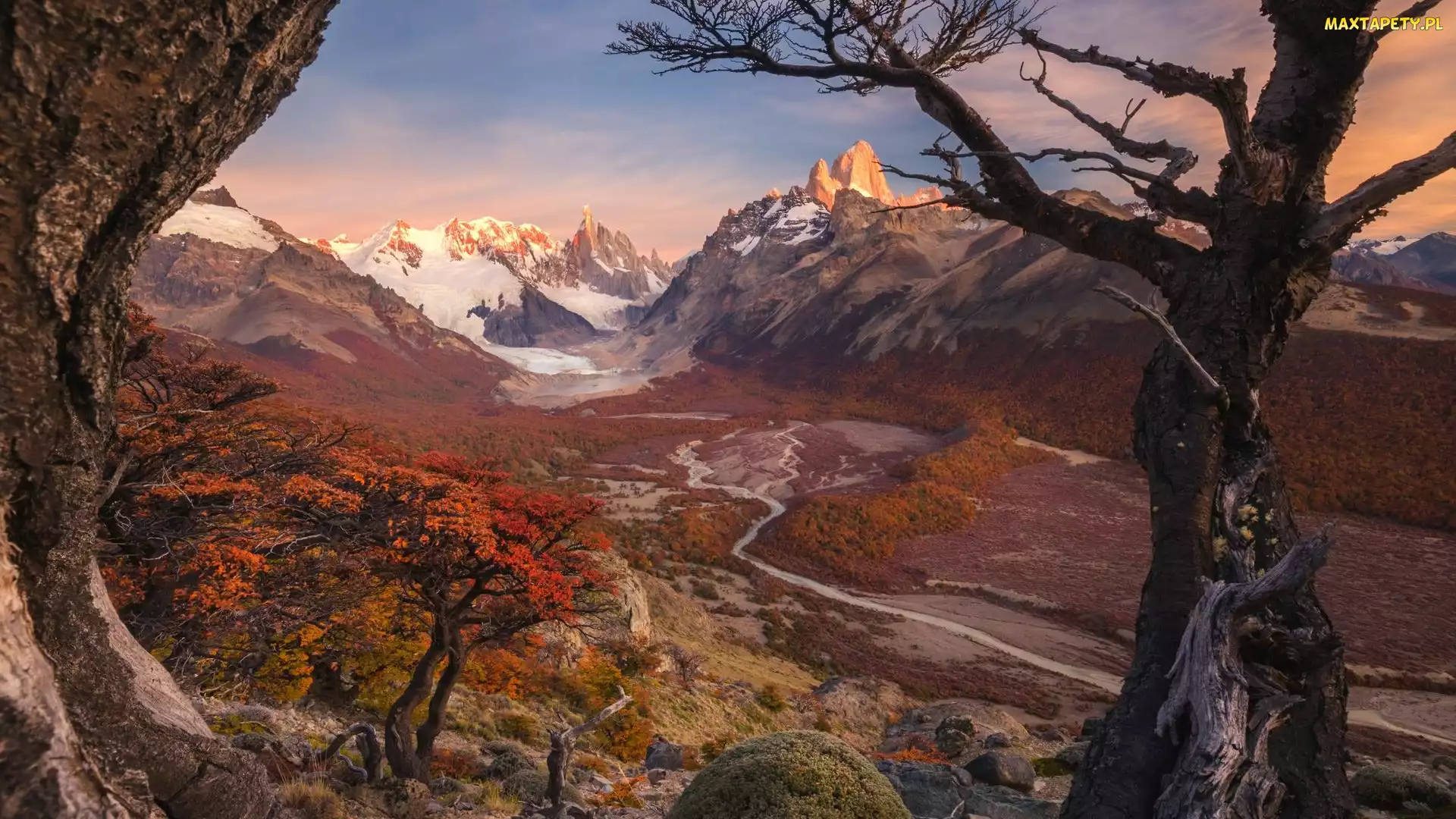 Argentyna, Rzeka, Szczyt Fitz Roy, Rio de las Vueltas, Drzewa, Góry, Patagonia, Park Narodowy Los Glaciares, Jesień