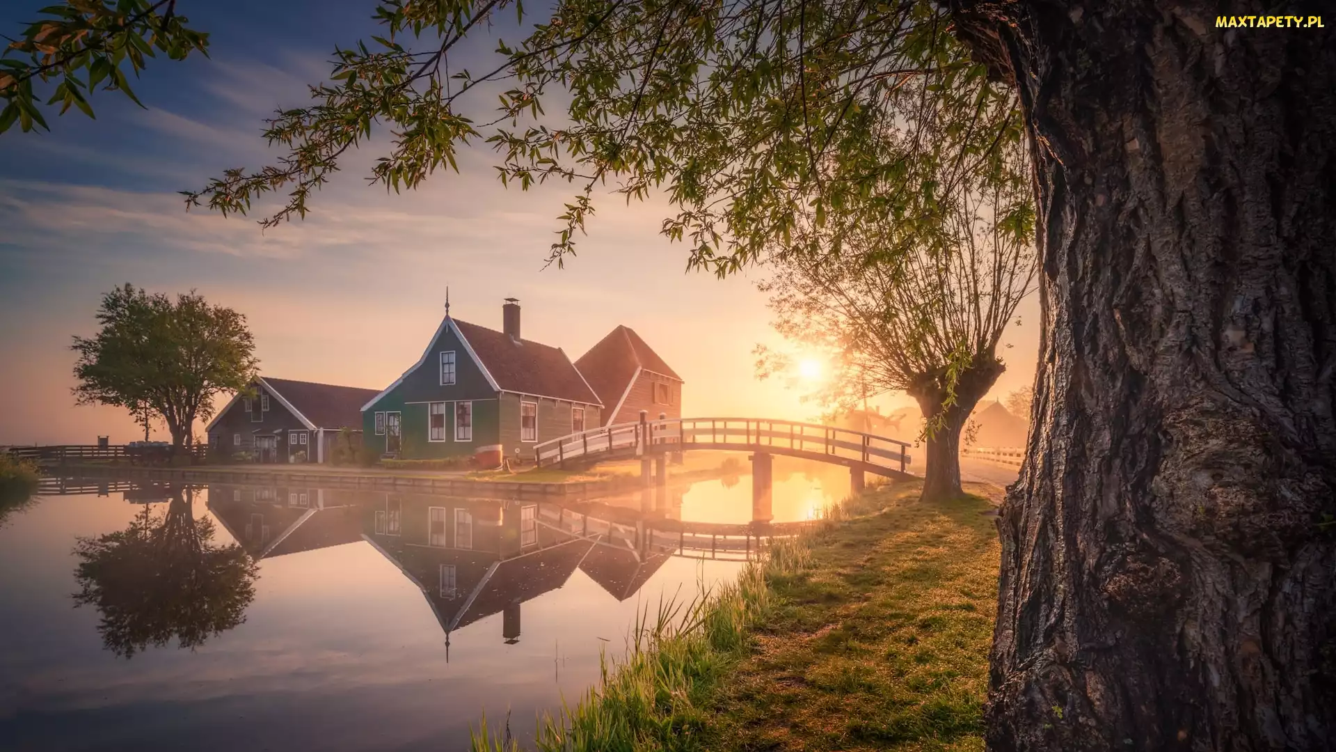 Wschód słońca, Zaandam, Wierzba, Holandia, Skansen Zaanse Schans, Drzewa, Domy, Most, Kanał