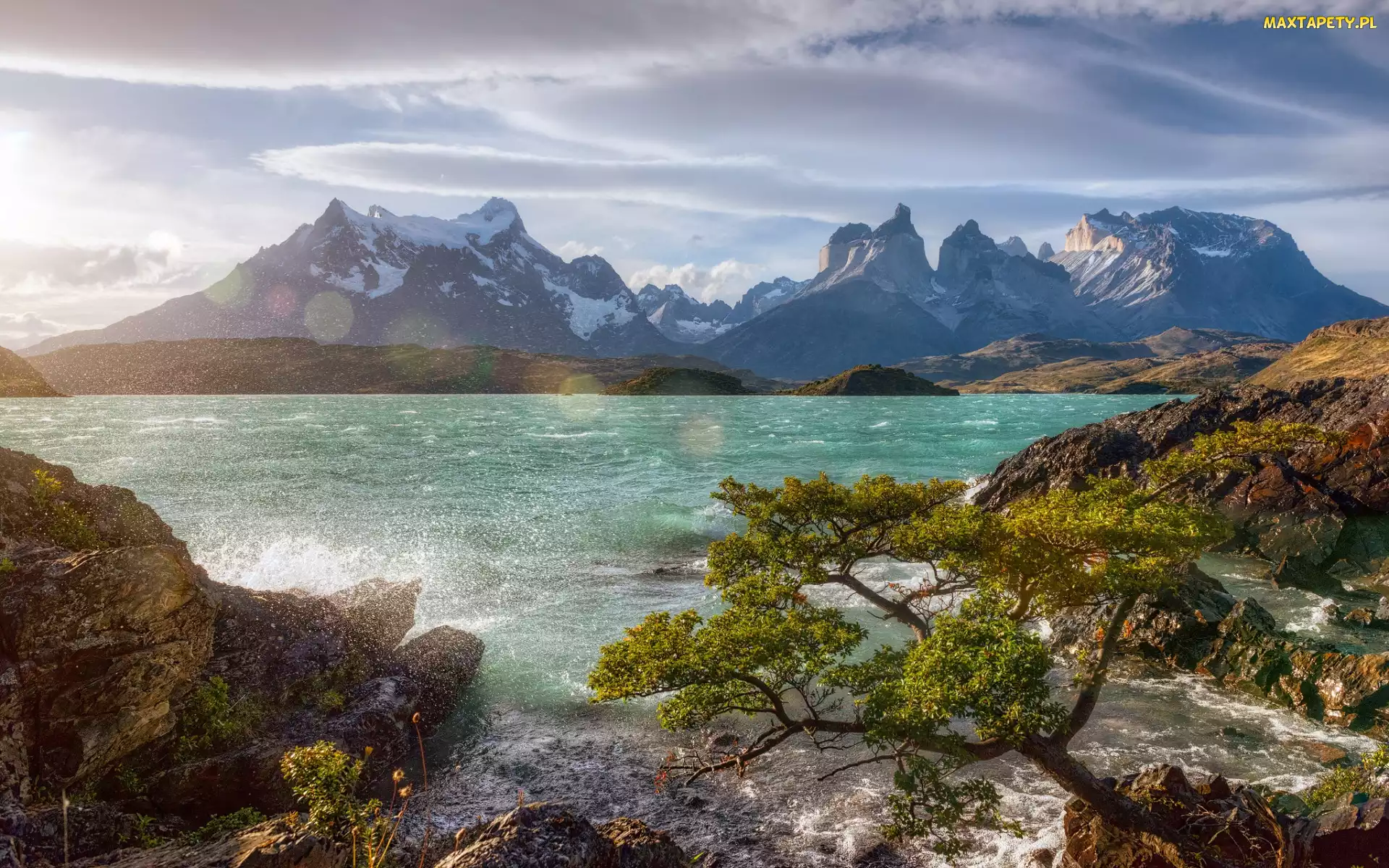 Chile, Park Narodowy Torres del Paine, Drzewo, Patagonia, Góry, Chmury, Cordillera del Paine, Jezioro, Niebo, Lake Pehoe