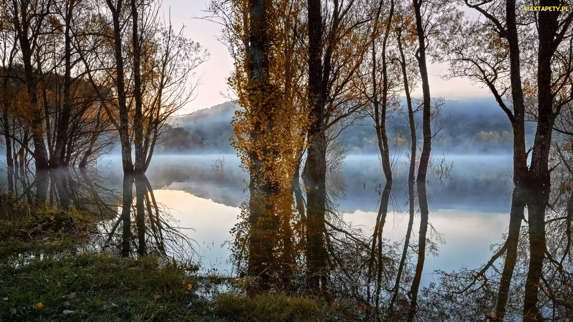 Odbicie, Drzewa, Jezioro, Góry, Mgła, Jesień