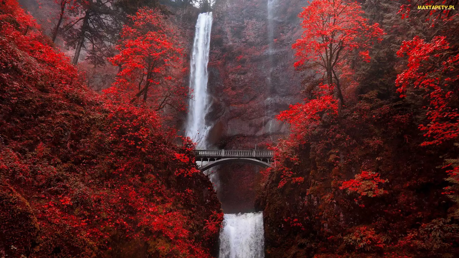 Stany Zjednoczone, Stan Oregon, Multnomah Falls, Wodospad, Drzewa, Most