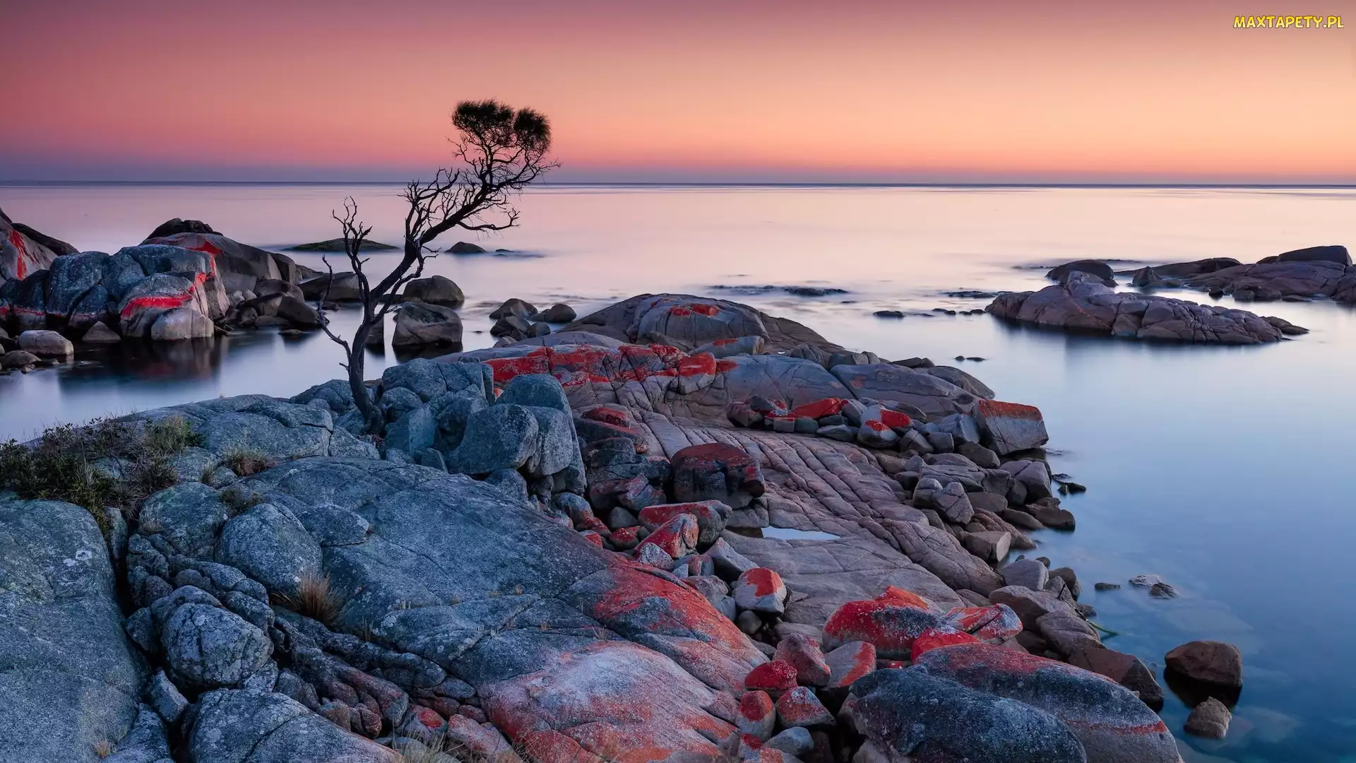 Głazy, Skały, Tasmania, Drzewo, Morze, Australia, Binalong Bay