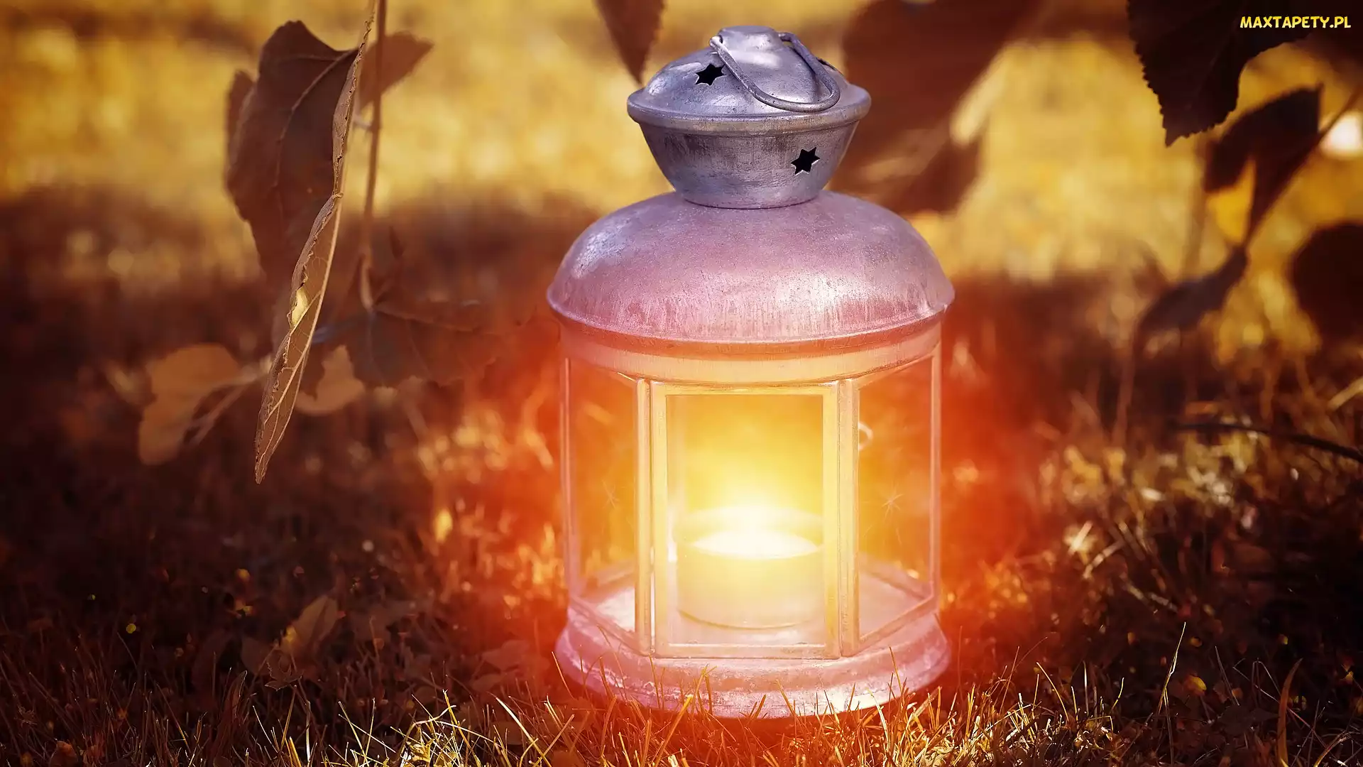 Światło, Liście, Lampion, Trawa