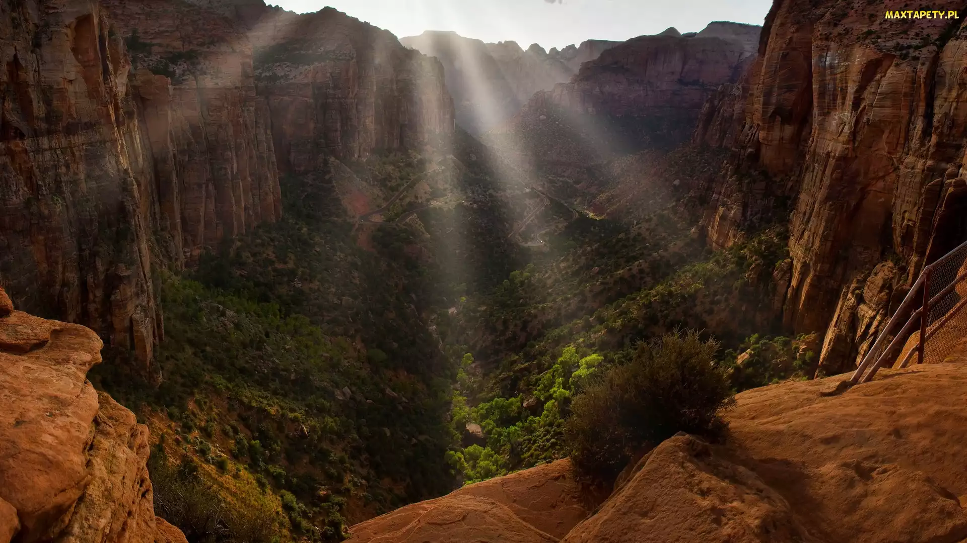 Kanion, Stan Utah, Park Narodowy Zion, Stany Zjednoczone, Dolina, Skały, Zion Canyon, Promienie słońca, Rośliny