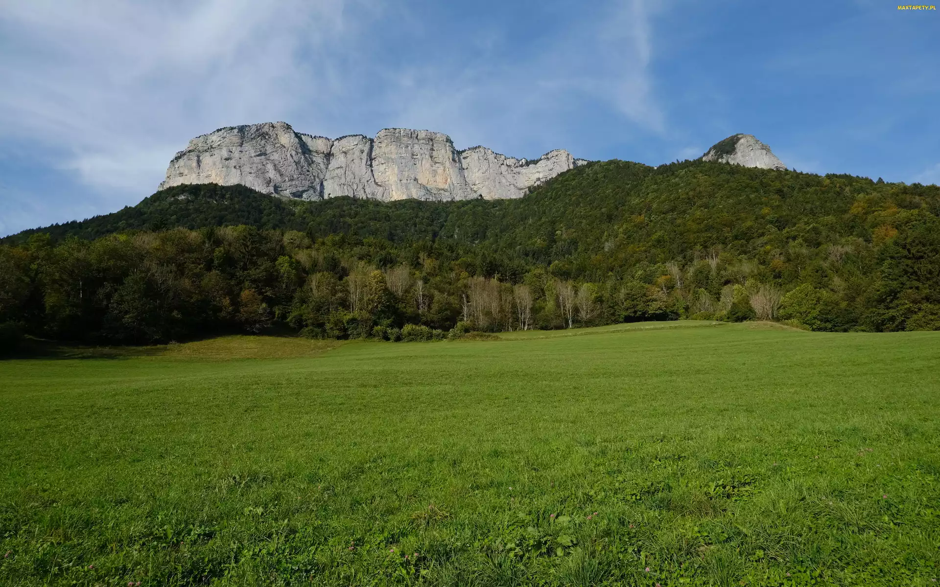 Łąka, Las, Góry, Drzewa