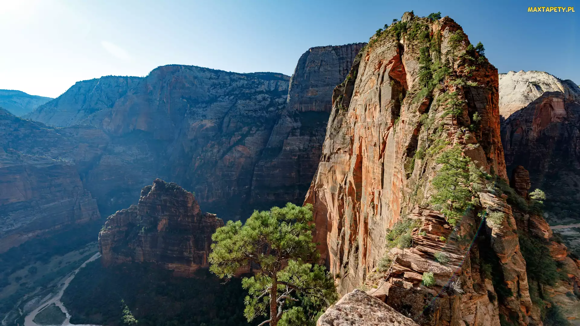 Stan Utah, Drzewa, Skały, Stany Zjednoczone, Angels Landing, Park Narodowy Zion, Formacja