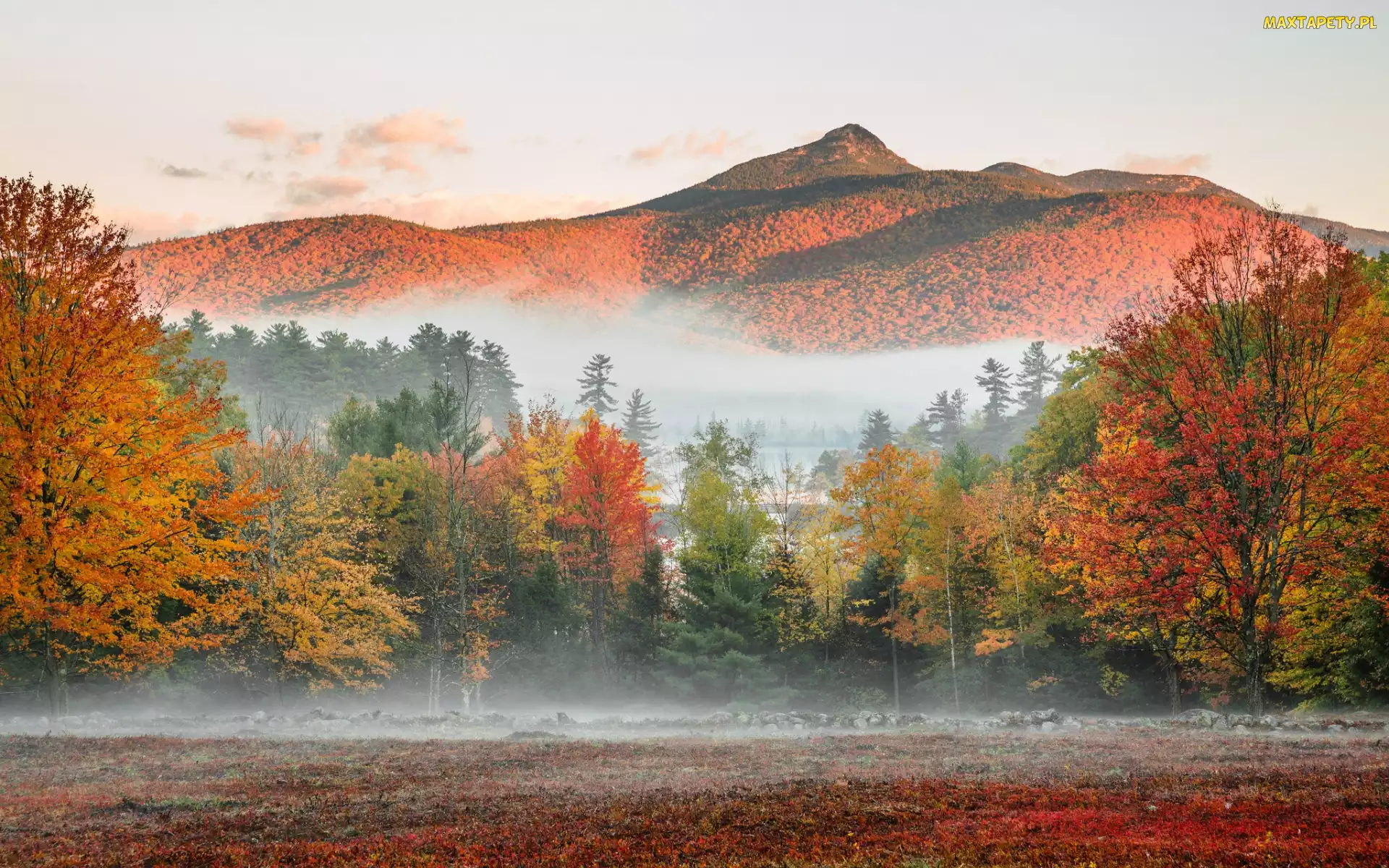Góra, Mount Chocorua, Mgła, Góry, Jesień, Stany Zjednoczone, Kolorowe, Stan New Hampshire, White Mountains, Drzewa, Lasy