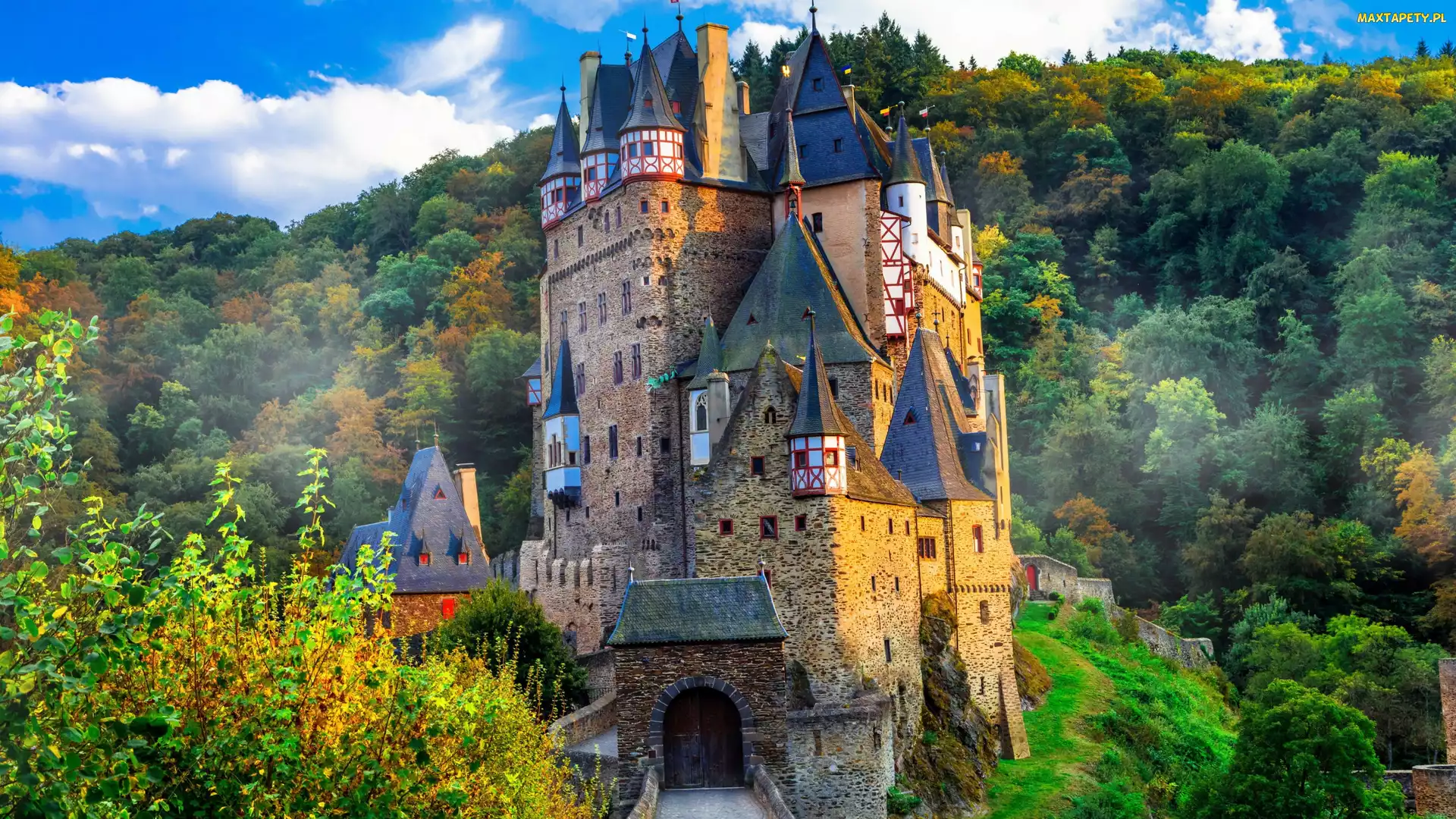 Zamek Eltz, Nadrenia Palatynat, Jesień, Niemcy, Rejon Eifel, Mgła, Lasy, Wzgórze, Drzewa