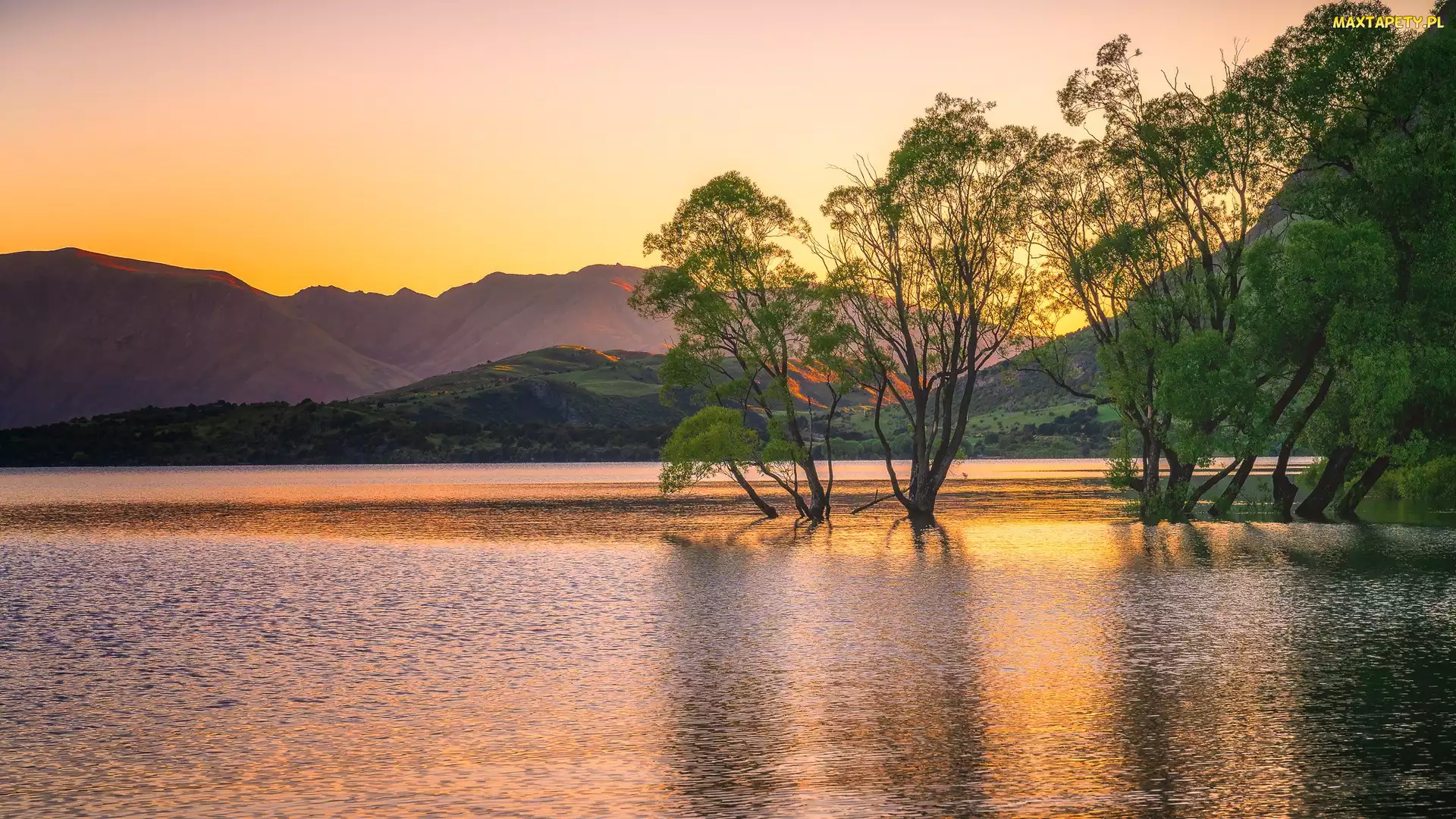 Drzewa, Góry, Nowa Zelandia, Jezioro Wanaka