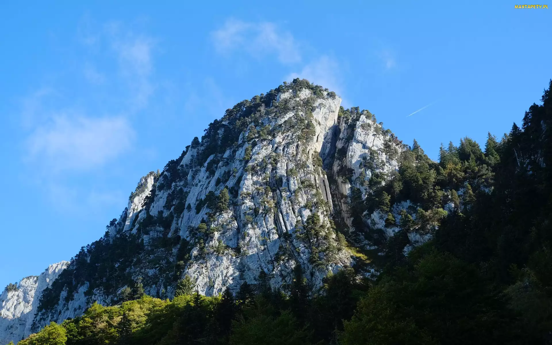 Szczyt, Drzewa, Góra
