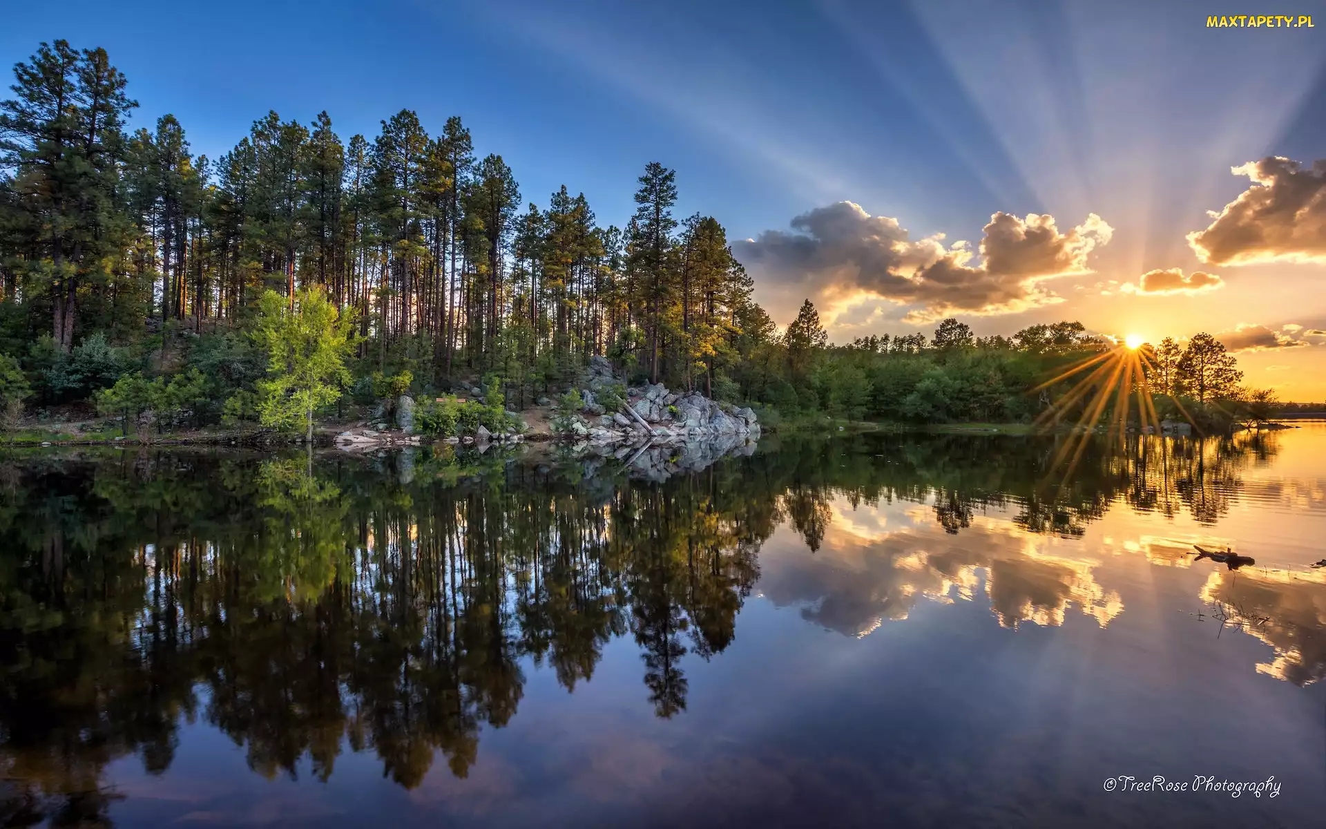 Zachód słońca, Stan Arizona, Gałęzie, Stany Zjednoczone, Prescott, Drzewa, Promienie słońca, Jezioro, Goldwater Lake