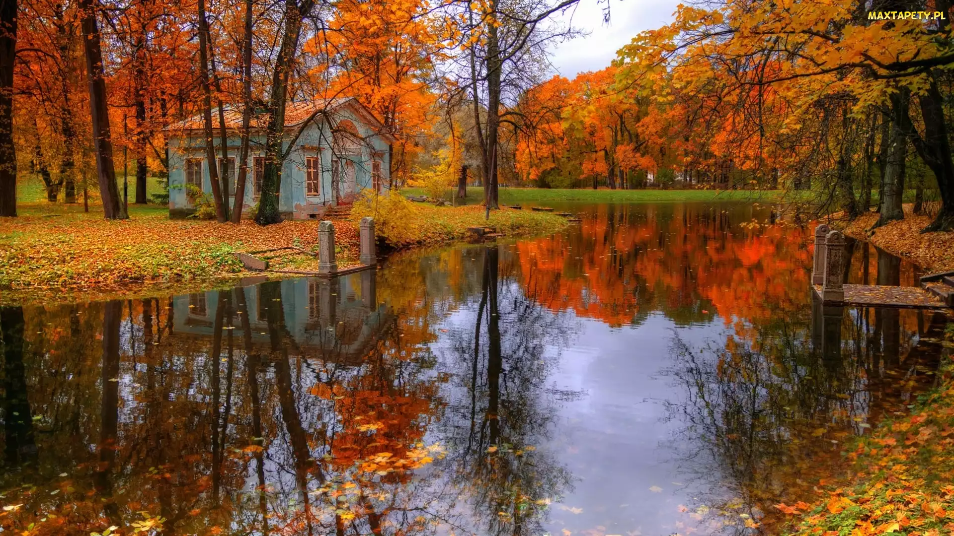 Petersburg, Drzewa, Rosja, Jesień, Staw, Carskie Sioło, Domek, Park