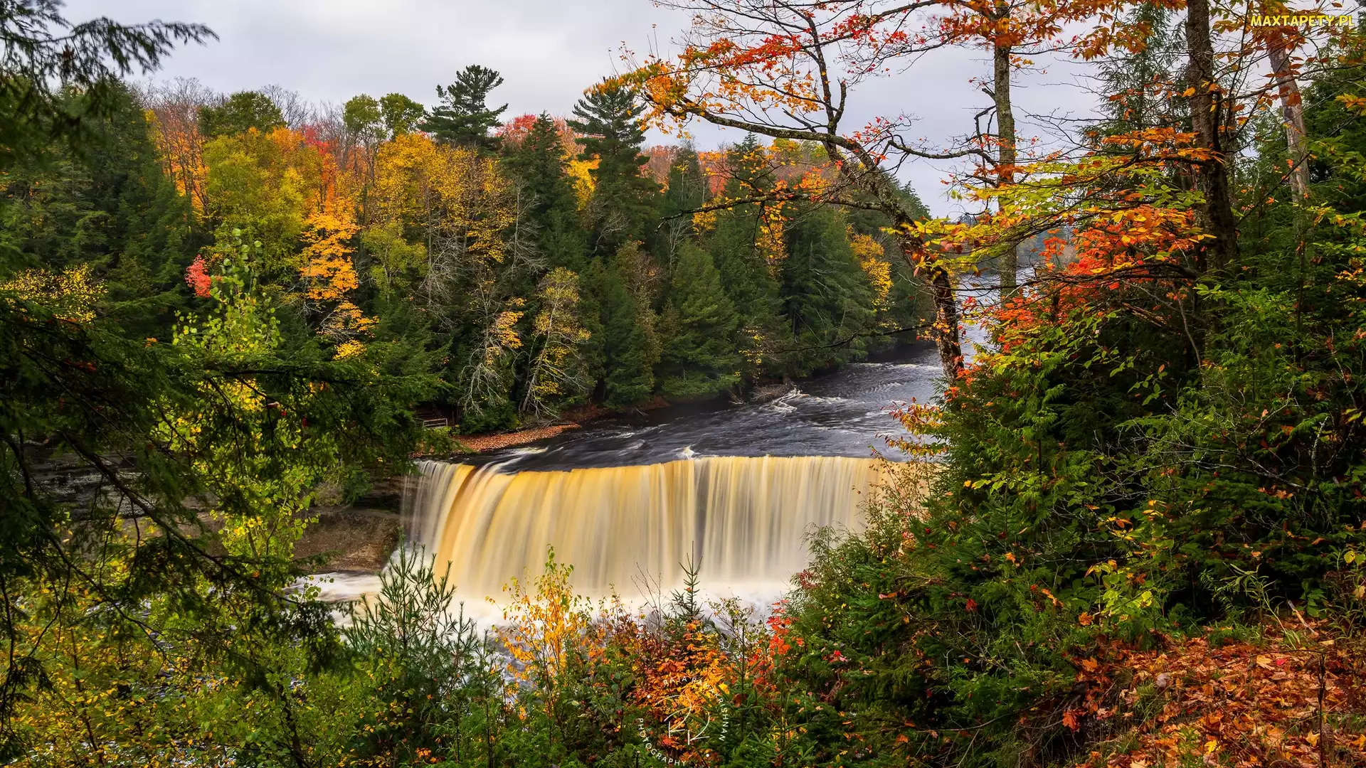 Stany Zjednoczone, Miejscowość Paradise, Jesień, Stan Michigan, Root Beer Falls, Tahquamenon Falls, Las, Drzewa, Wodospad, Rzeka Tahquamenon
