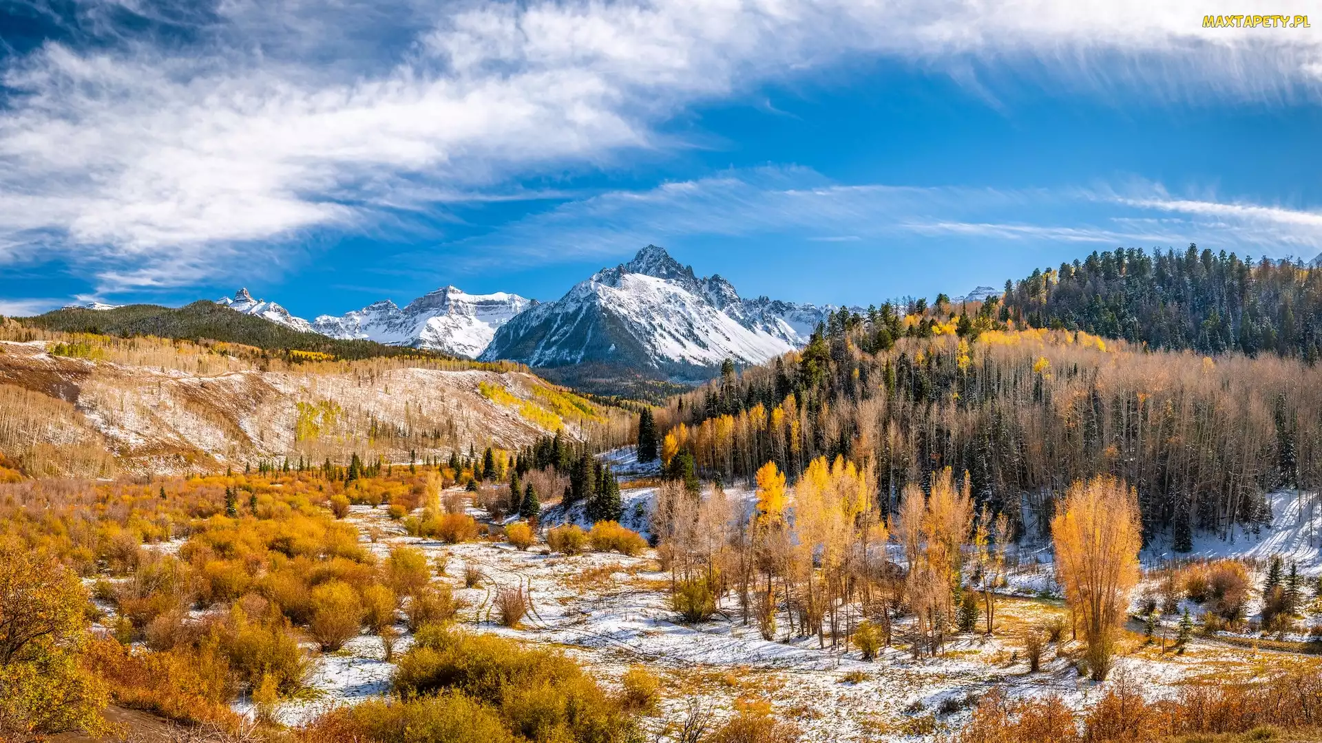 Stany Zjednoczone, Przełęcz Dallas Divide, Śnieg, Kolorado, Góra, San Juan Mountains, Mount Sneffels, Lasy, Góry, Drzewa
