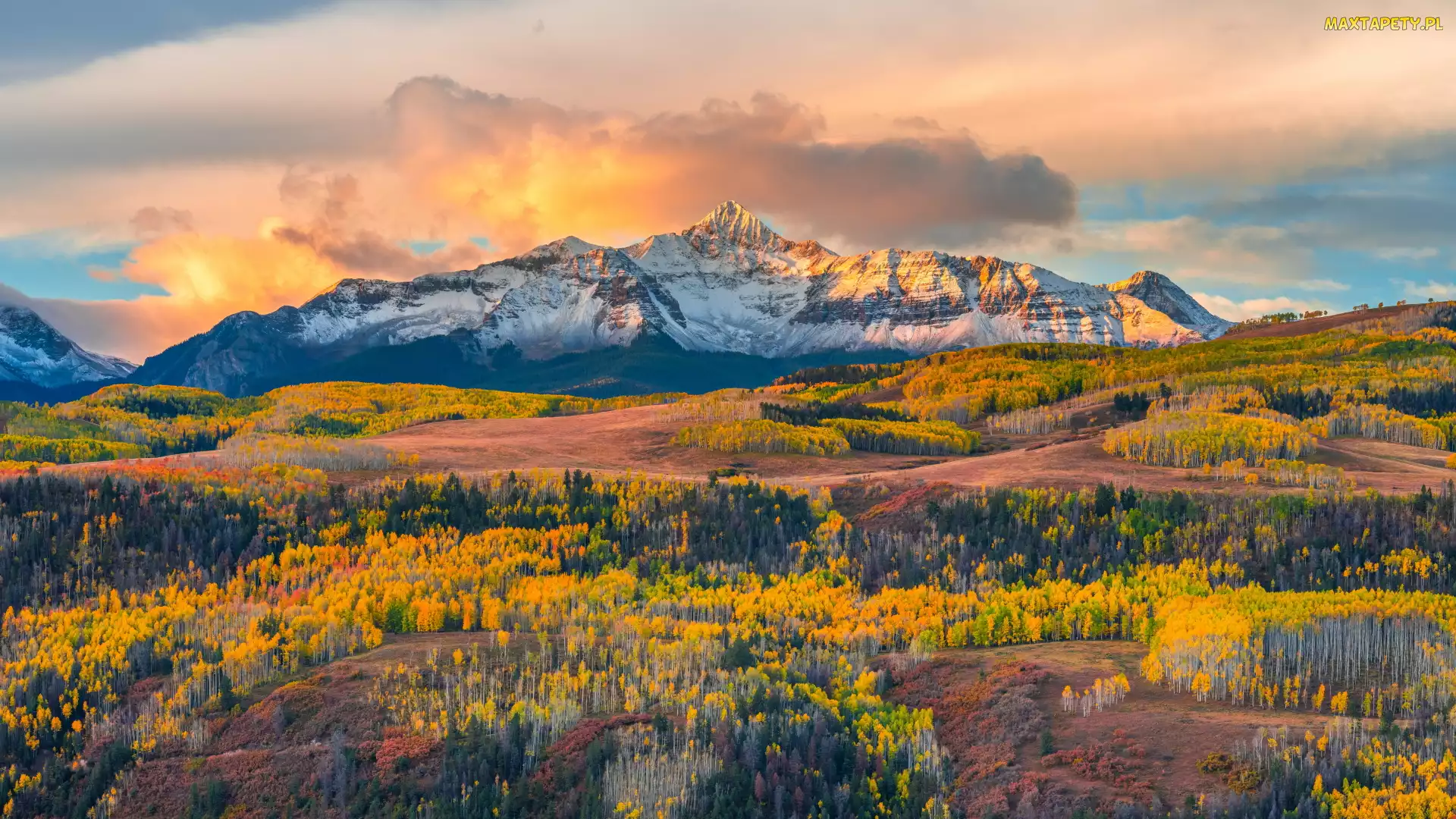 Telluride, Kolorado, Pożółkłe, Stany Zjednoczone, Drzewa, San Juan Mountains, Las, Jesień, Góry