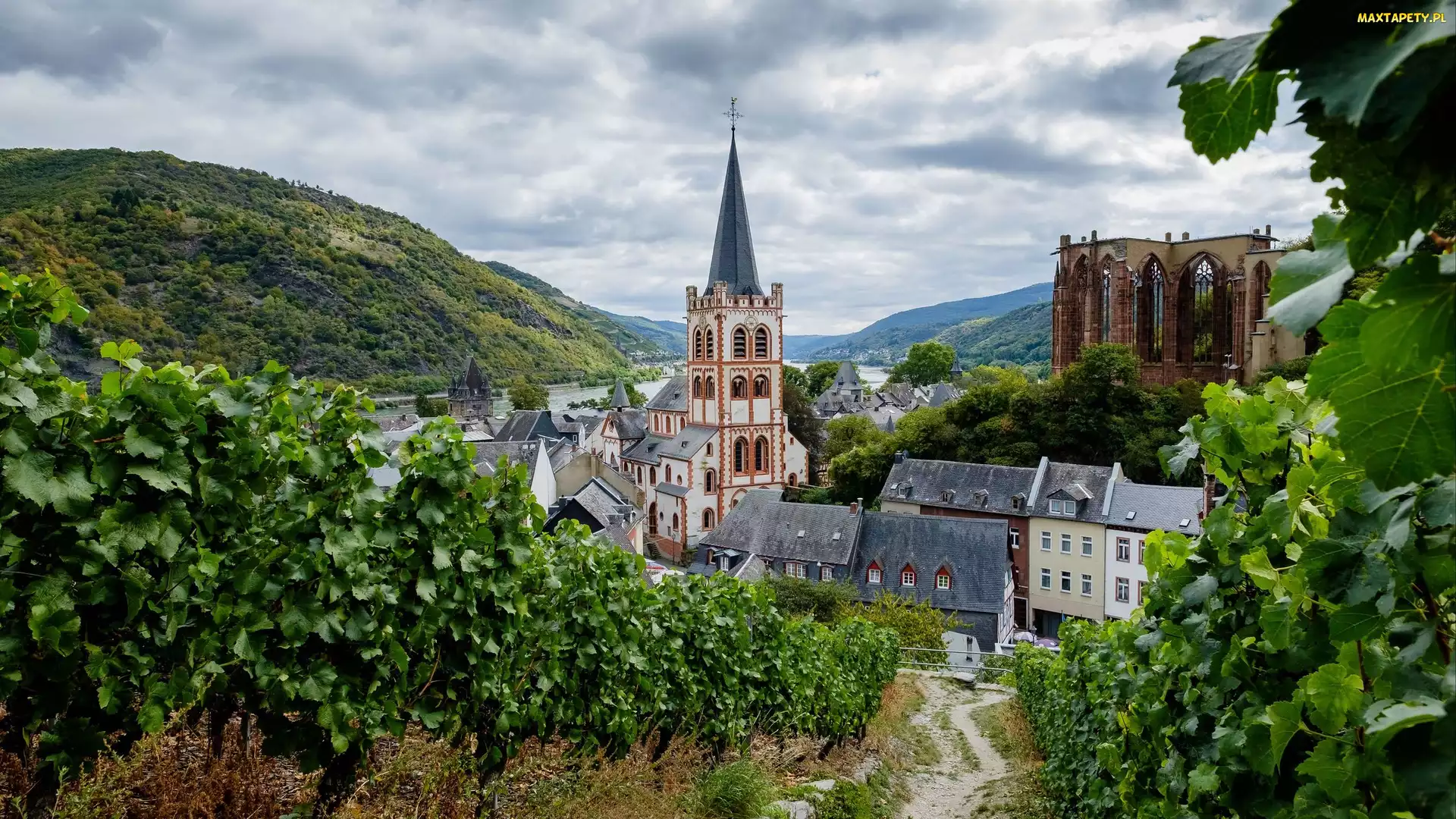 Powiat Mainz-Bingen, Kaplica Wernera, Niemcy, Kościół św Piotra, Domy, Bacharach, Góry, Wernerkapelle