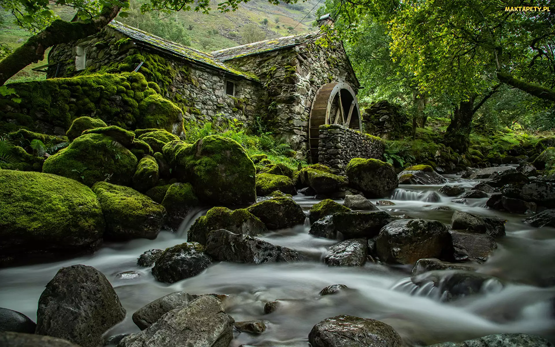 Hrabstwo Kumbria, Rzeka, Anglia, Młyn, Kamienie, Borrowdale, Drzewa, Omszałe
