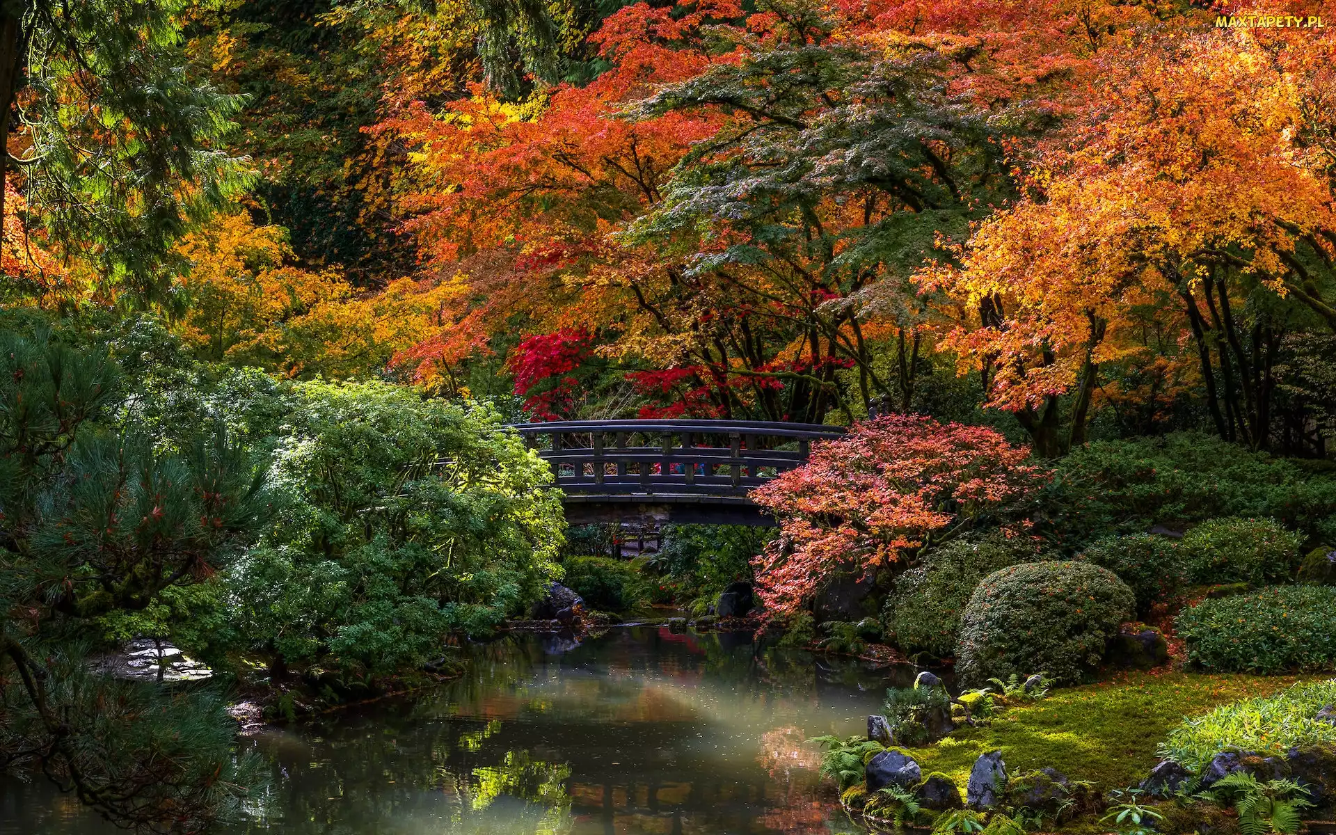 Jesień, Oregon, Portland Japanese Garden, Stany Zjednoczone, Portland, Mostek, Ogród japoński, Drzewa, Krzewy
