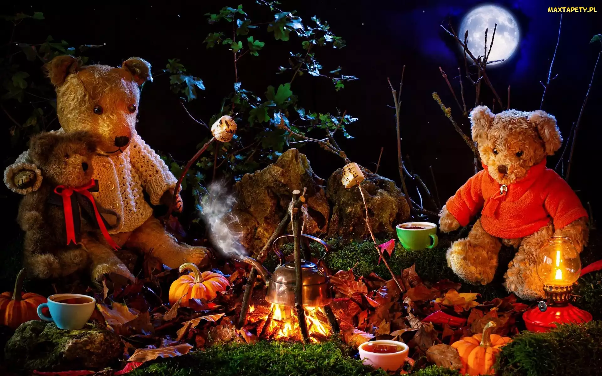 Liście, Księżyc, Filiżanki, Lampa, Misie, Halloween, Pluszowe, Ognisko, Kompozycja, Dynie