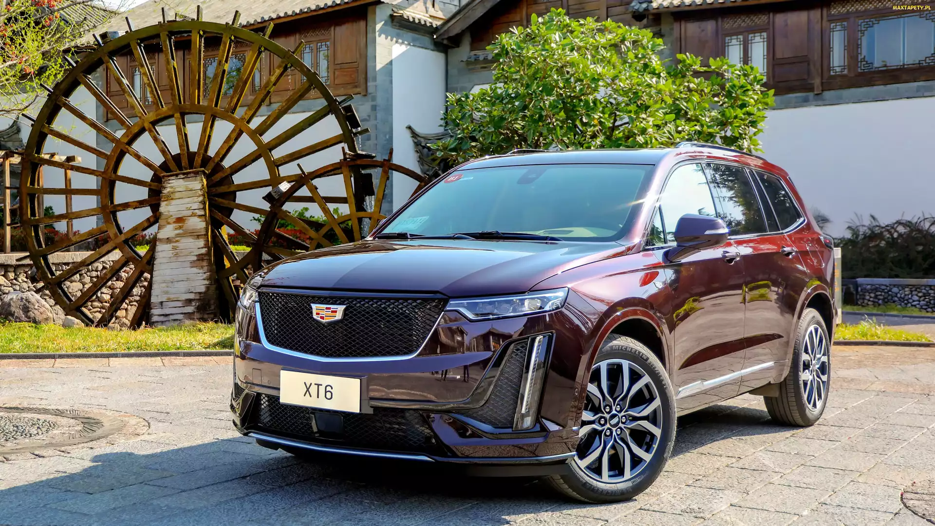 SUV, Wiśniowy, Cadillac XT6