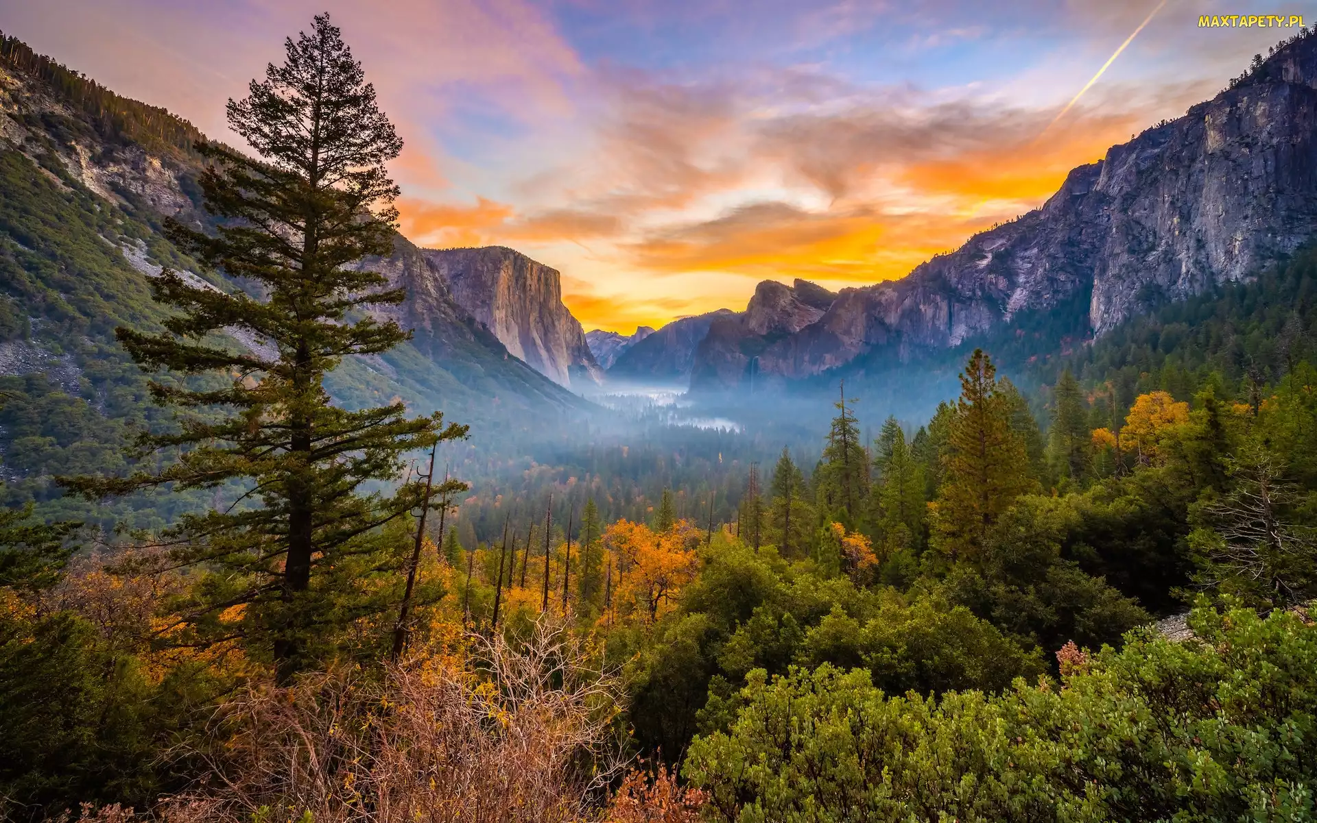 Park Narodowy Yosemite, Kalifornia, Mgła, Stany Zjednoczone, Góry, Krzewy, Jesień, Skały, Drzewa