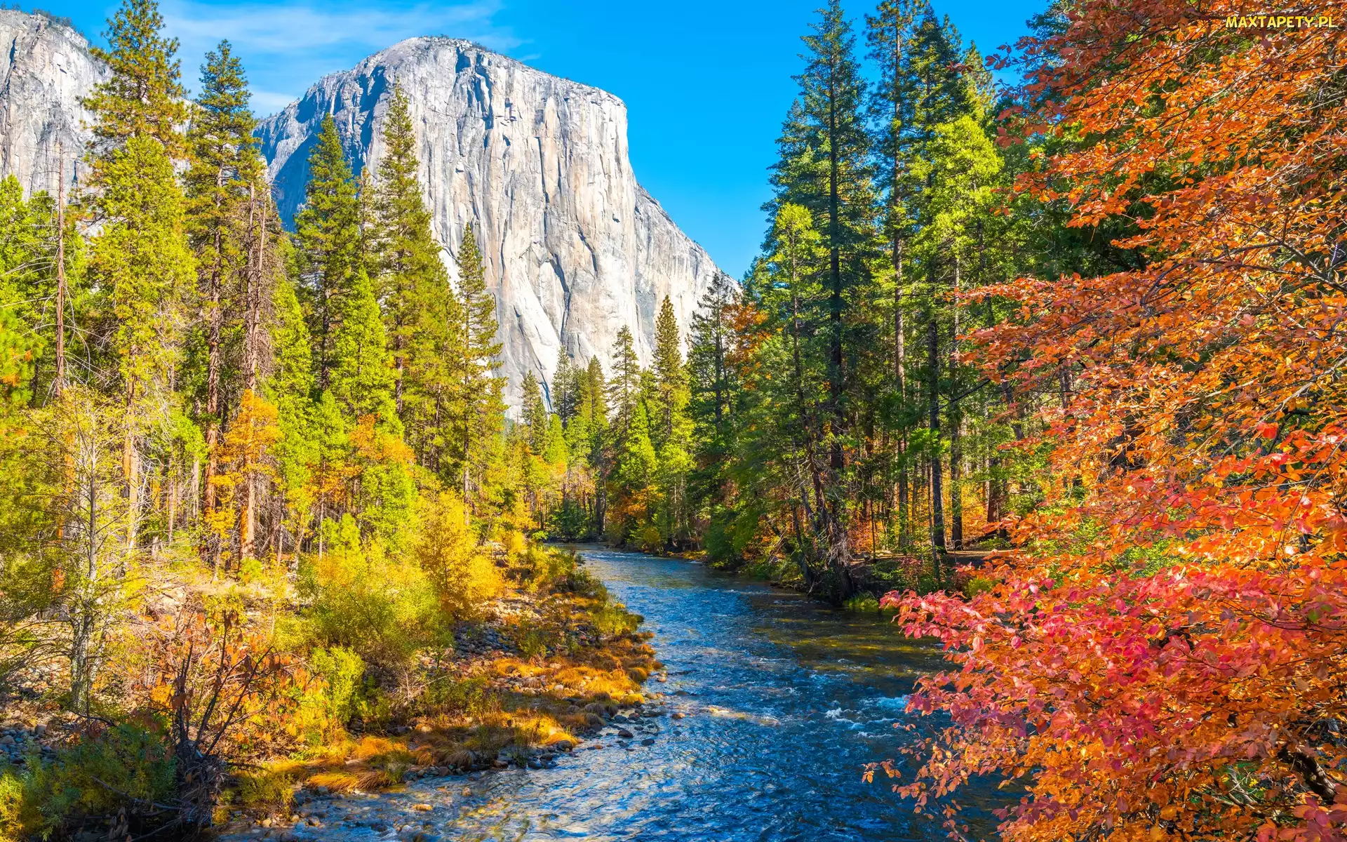 Drzewa, Rzeka Merced, Kalifornia, Góry, Jesień, Stany Zjednoczone, Park Narodowy Yosemite